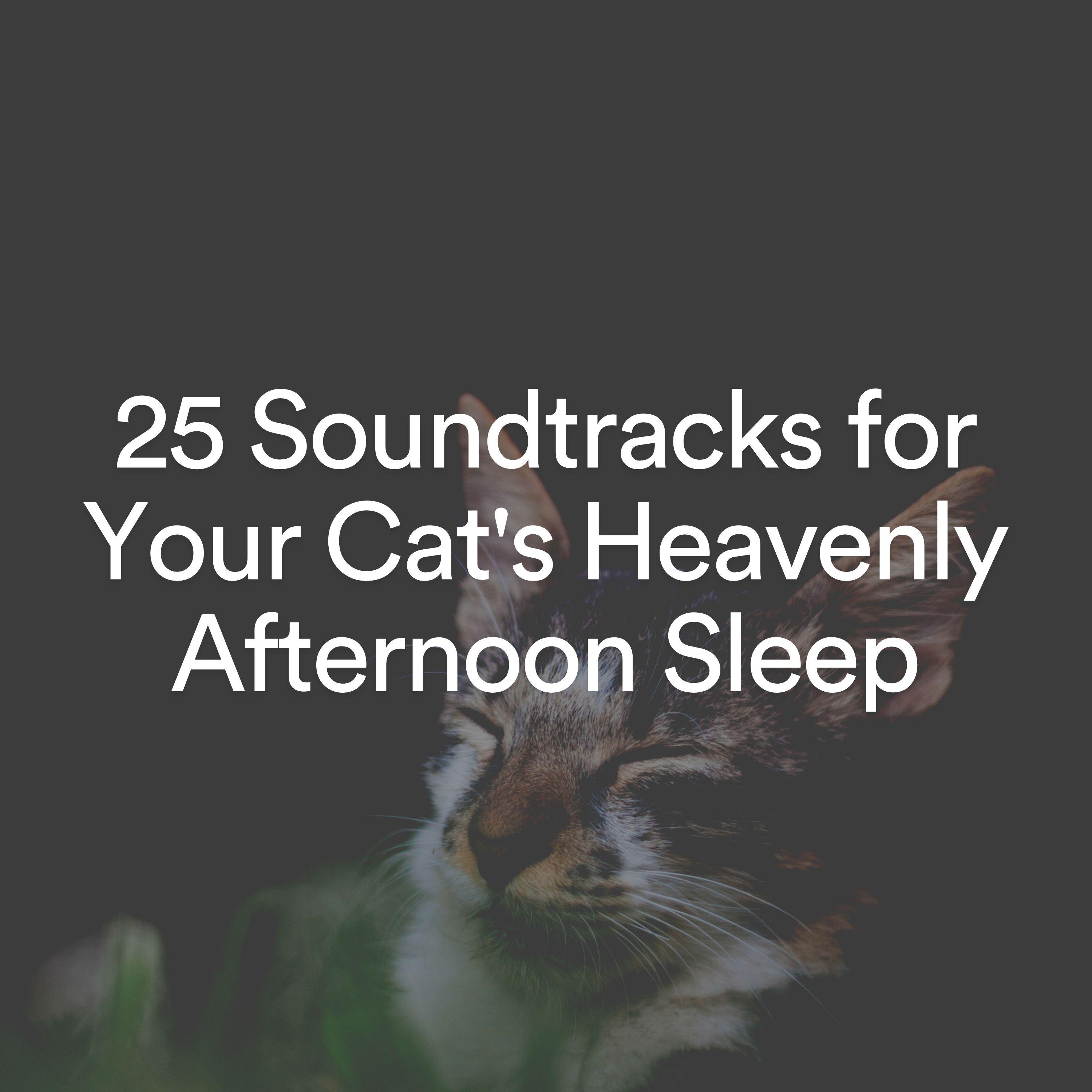 Постер альбома 25 Soundtracks for Your Cat's Heavenly Afternoon Sleep