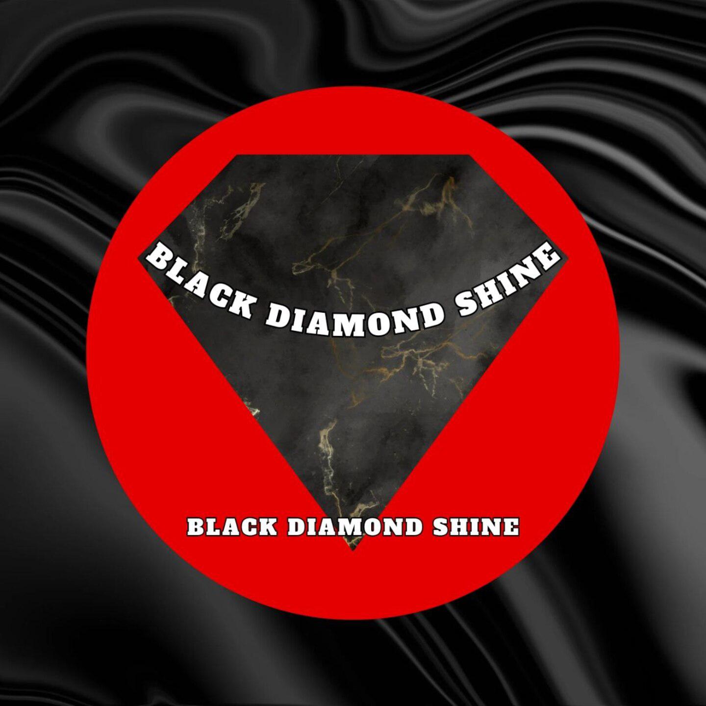 Постер альбома Black Diamond Shine
