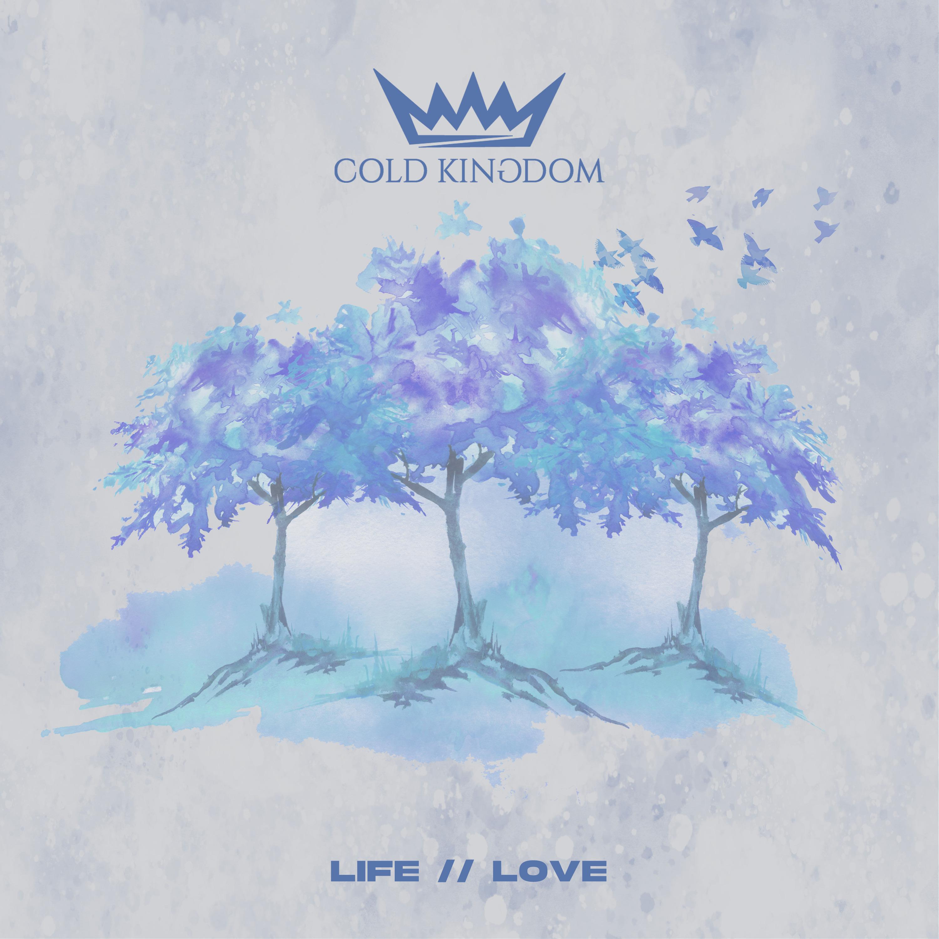 Постер альбома Life//Love