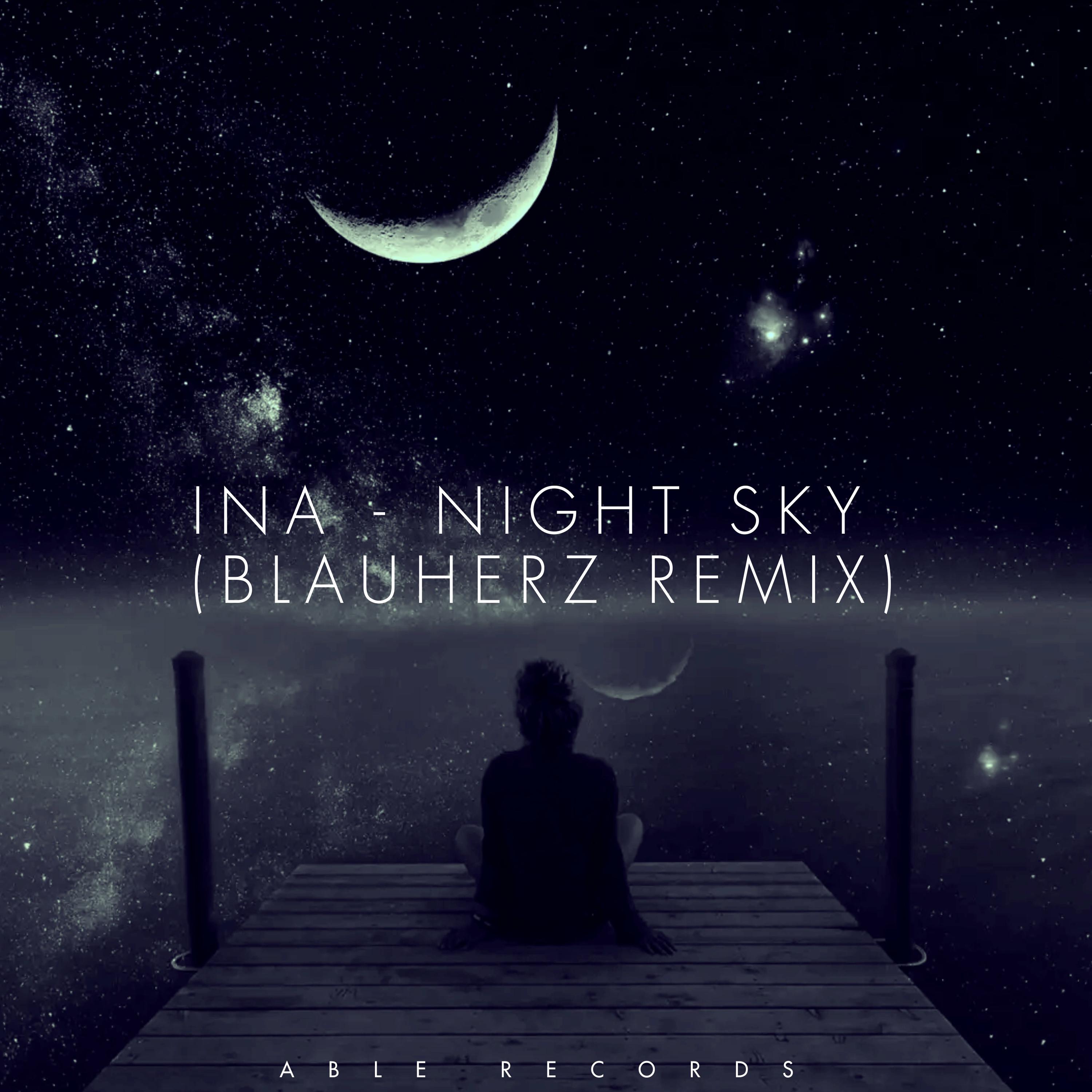 Постер альбома NIGHT SKY