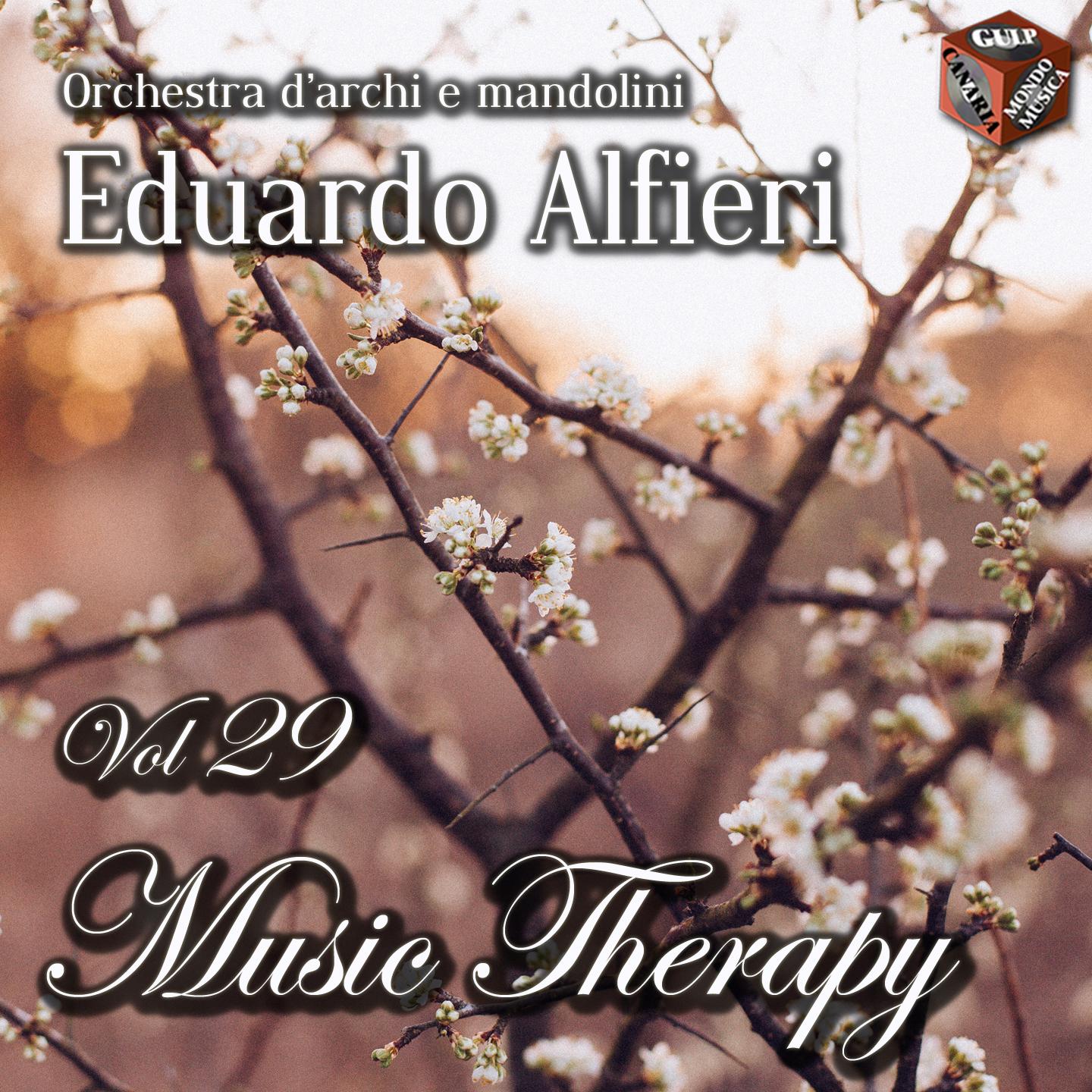 Постер альбома Music Therapy, Vol. 29