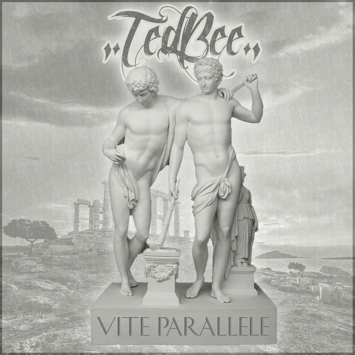 Постер альбома Vite Parallele