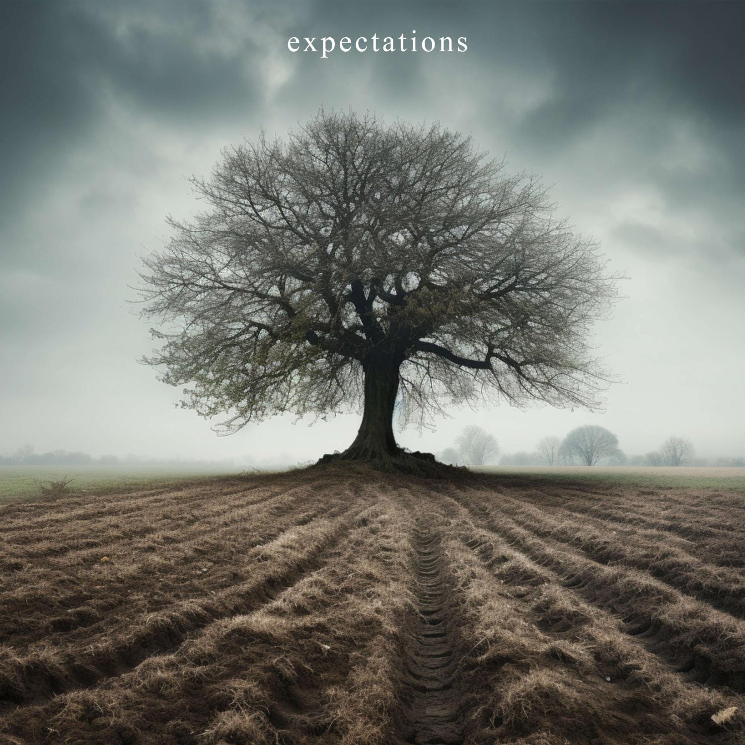 Постер альбома expectations