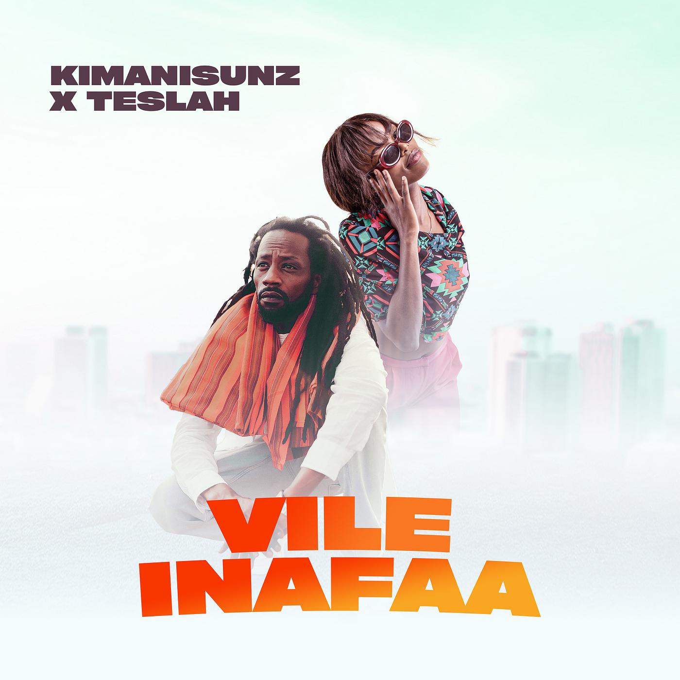 Постер альбома Vile Inafaa