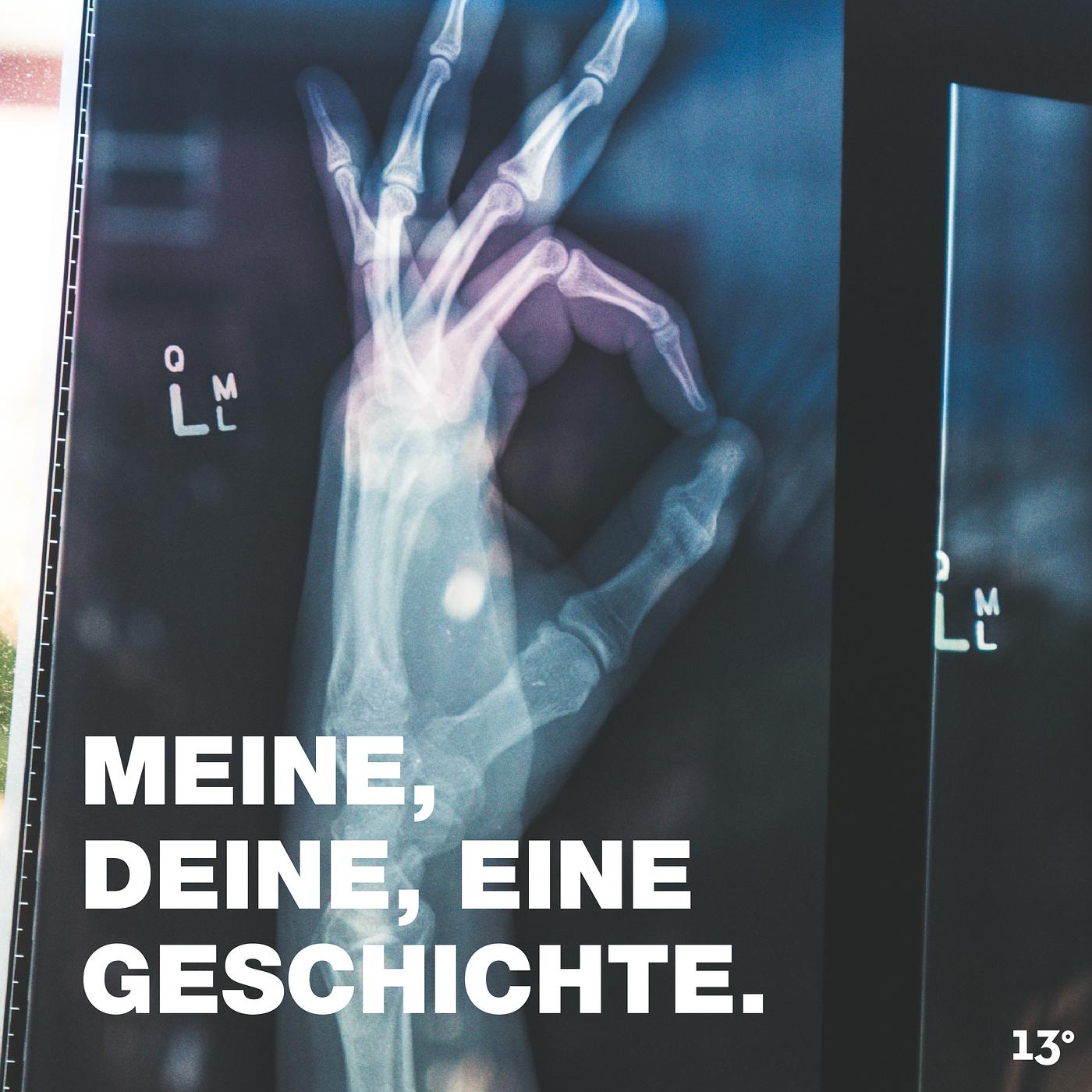 Постер альбома Meine, Deine, Eine Geschichte.