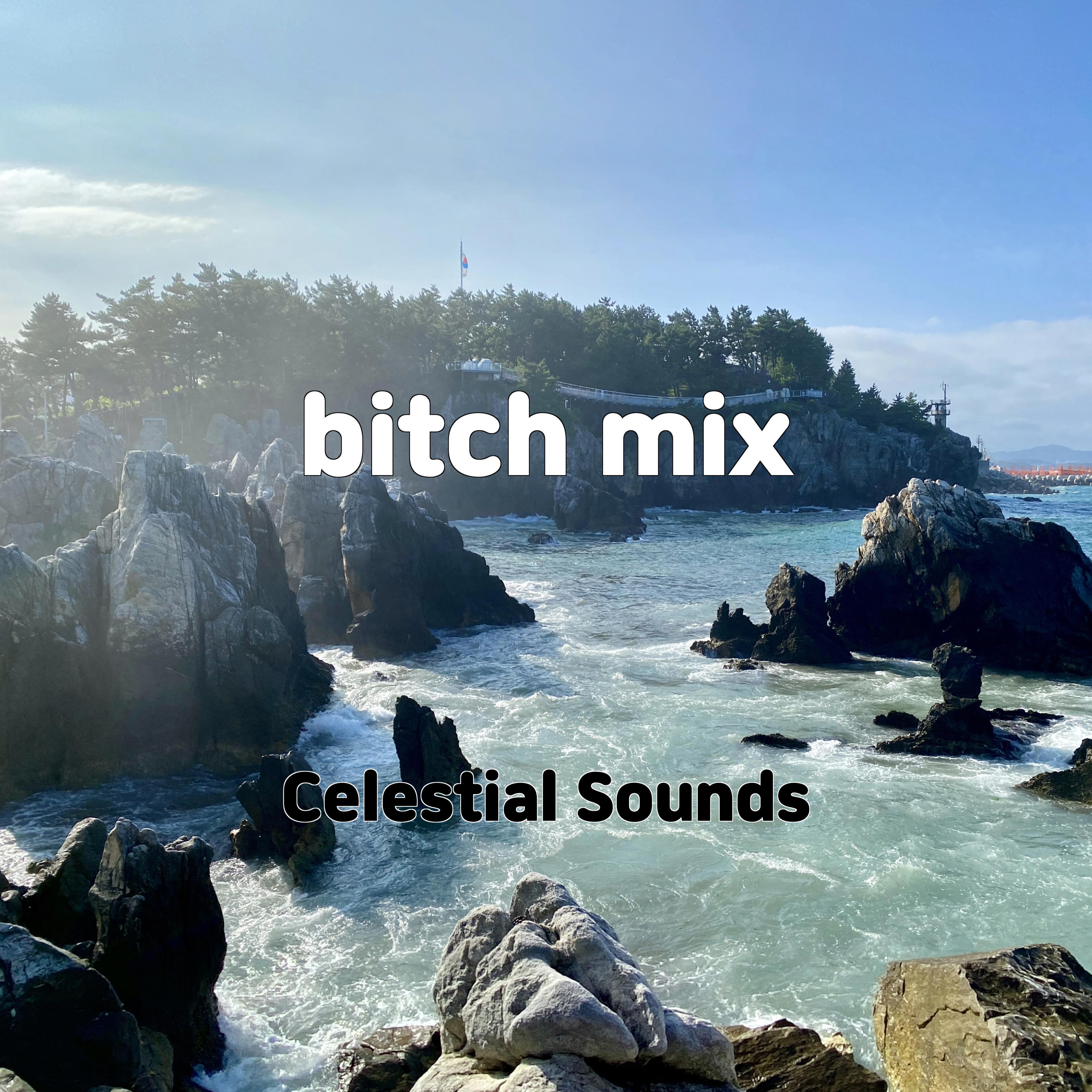 Постер альбома bitch mix