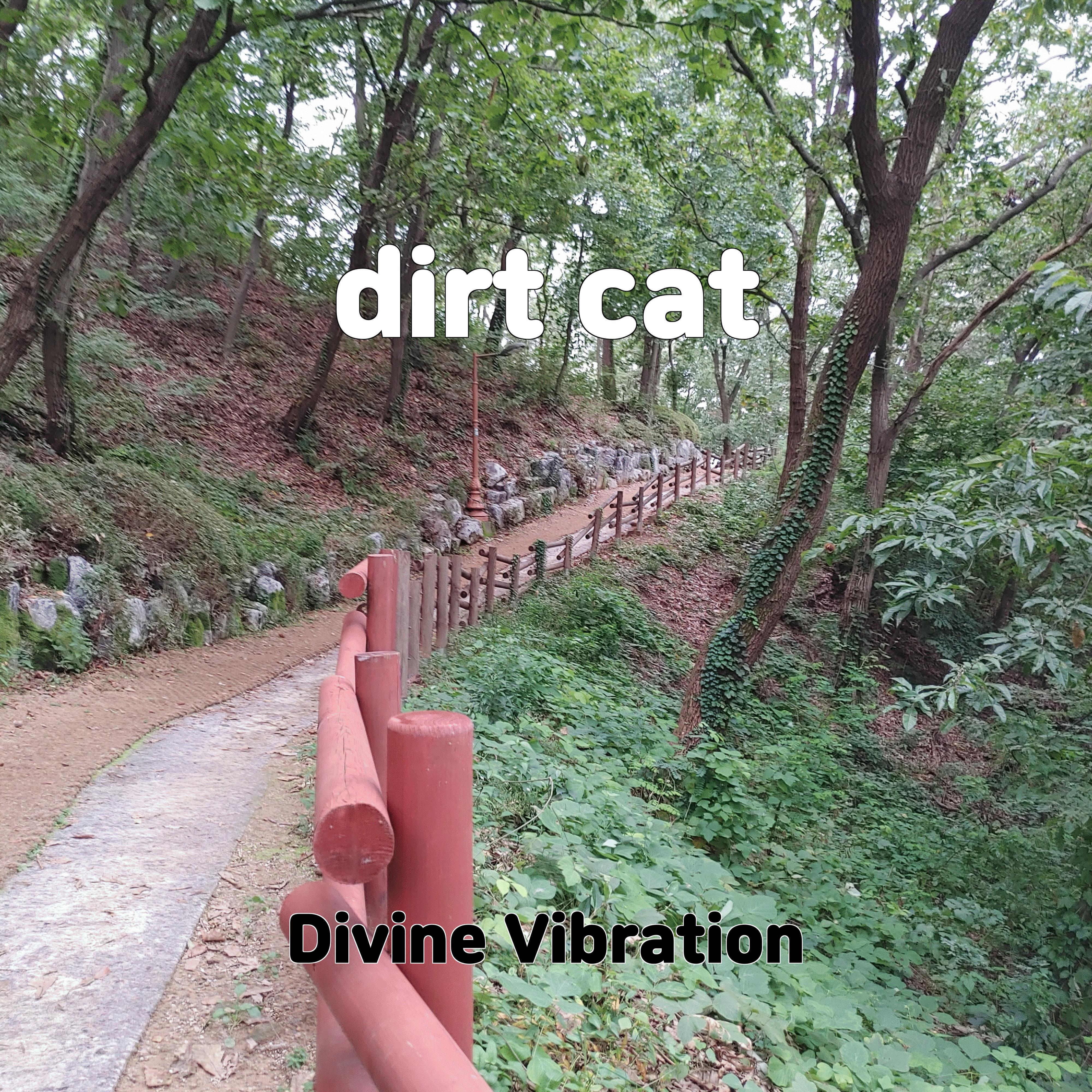 Постер альбома dirt cat