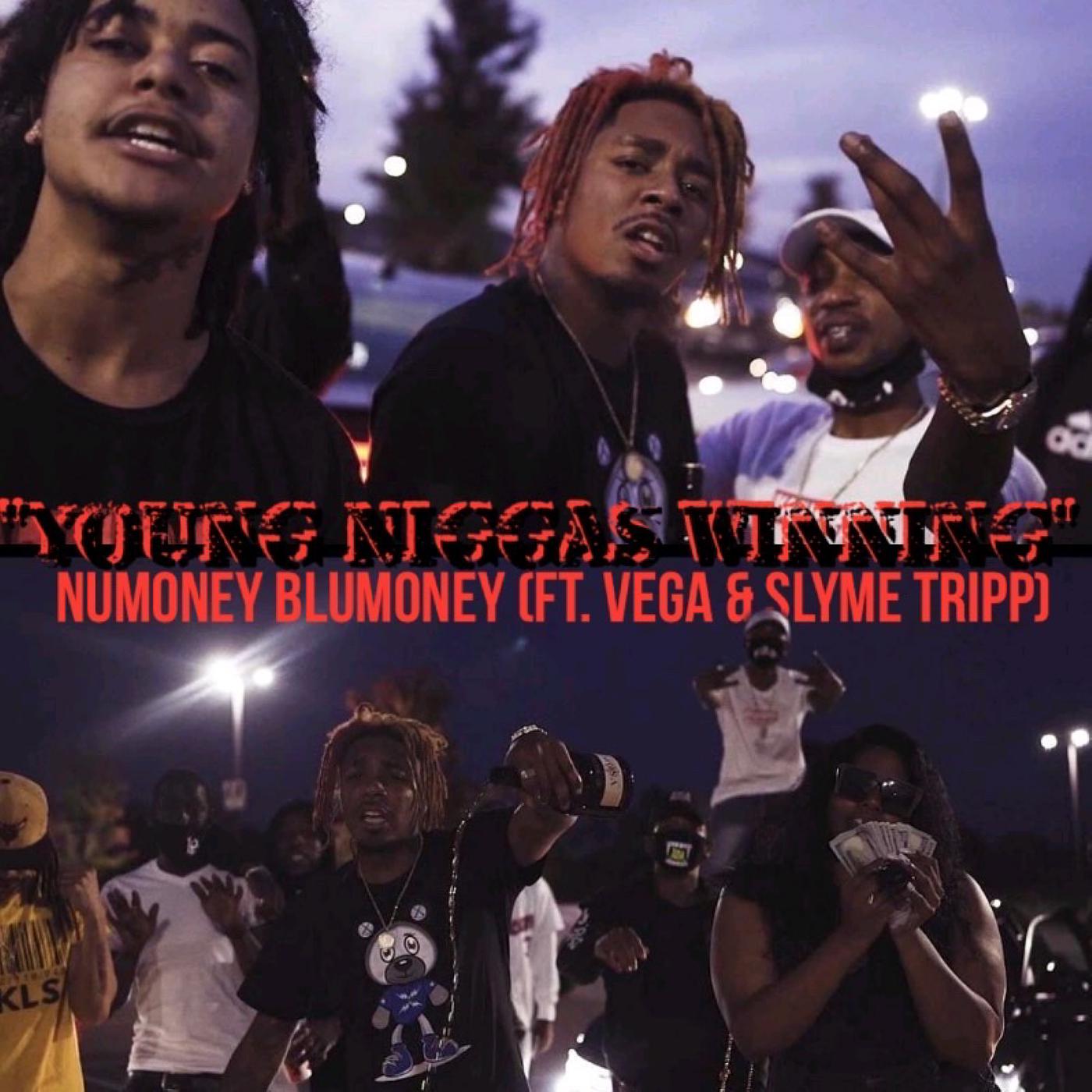 Постер альбома Young Niggas Winning