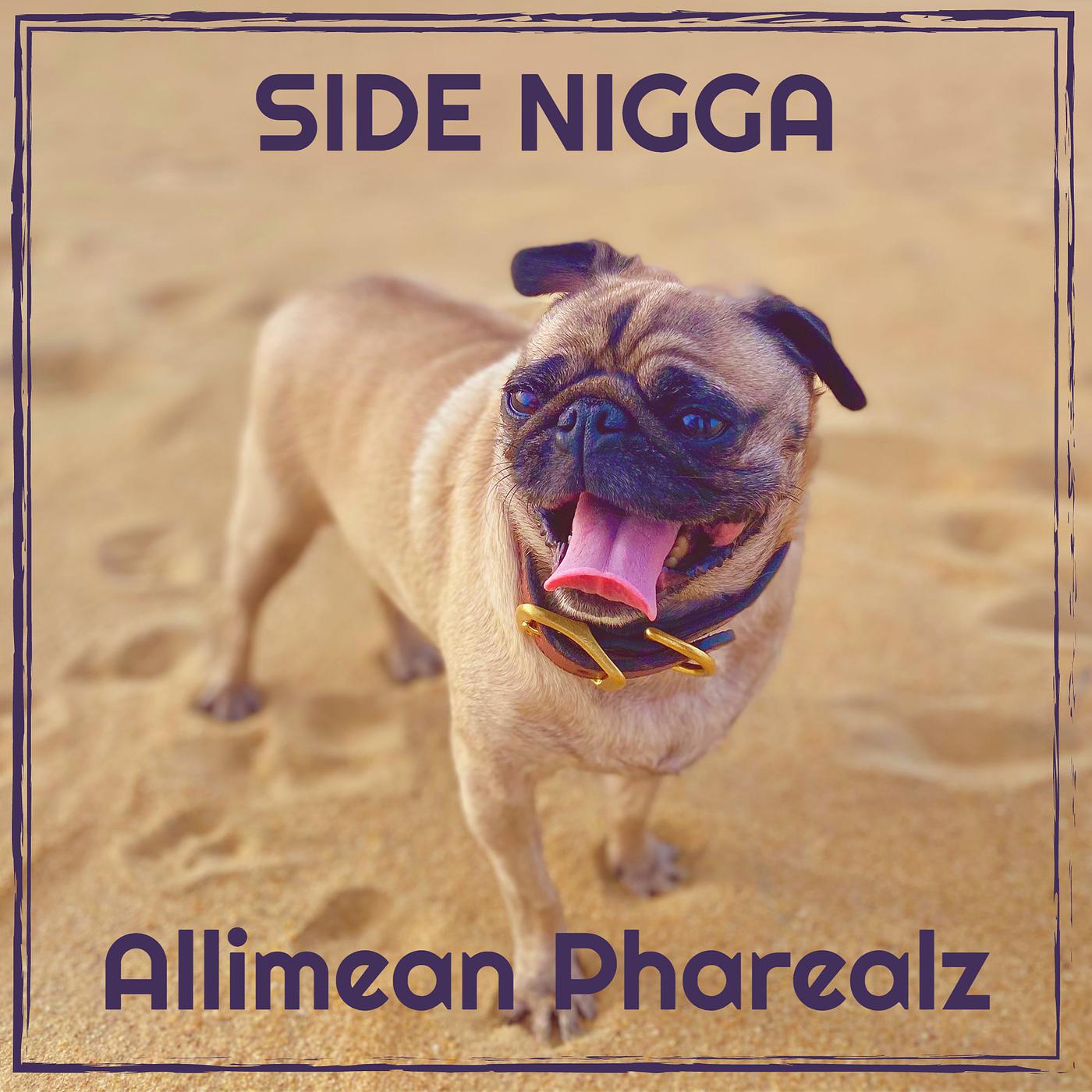 Постер альбома Side Nigga