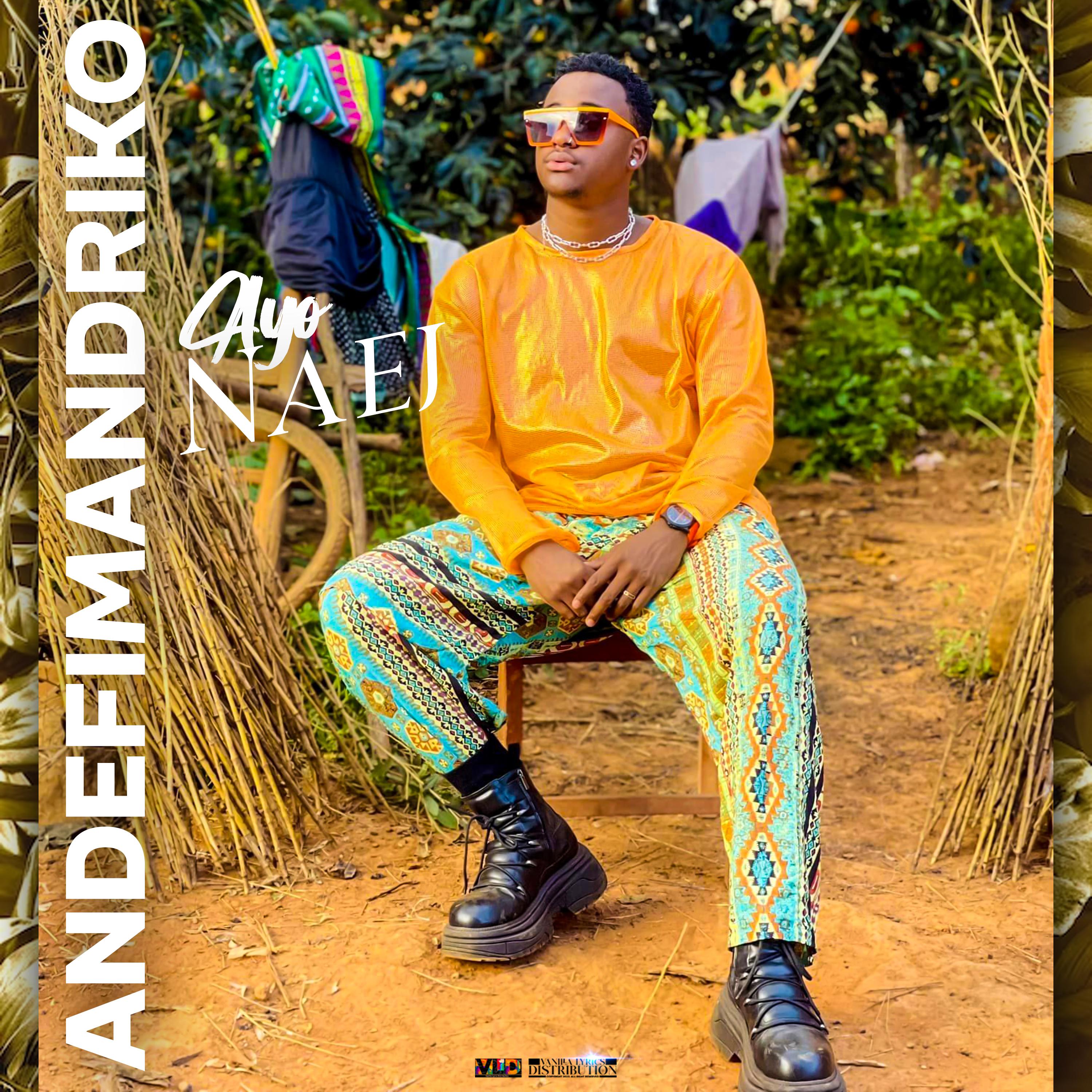 Постер альбома Andefimandriko