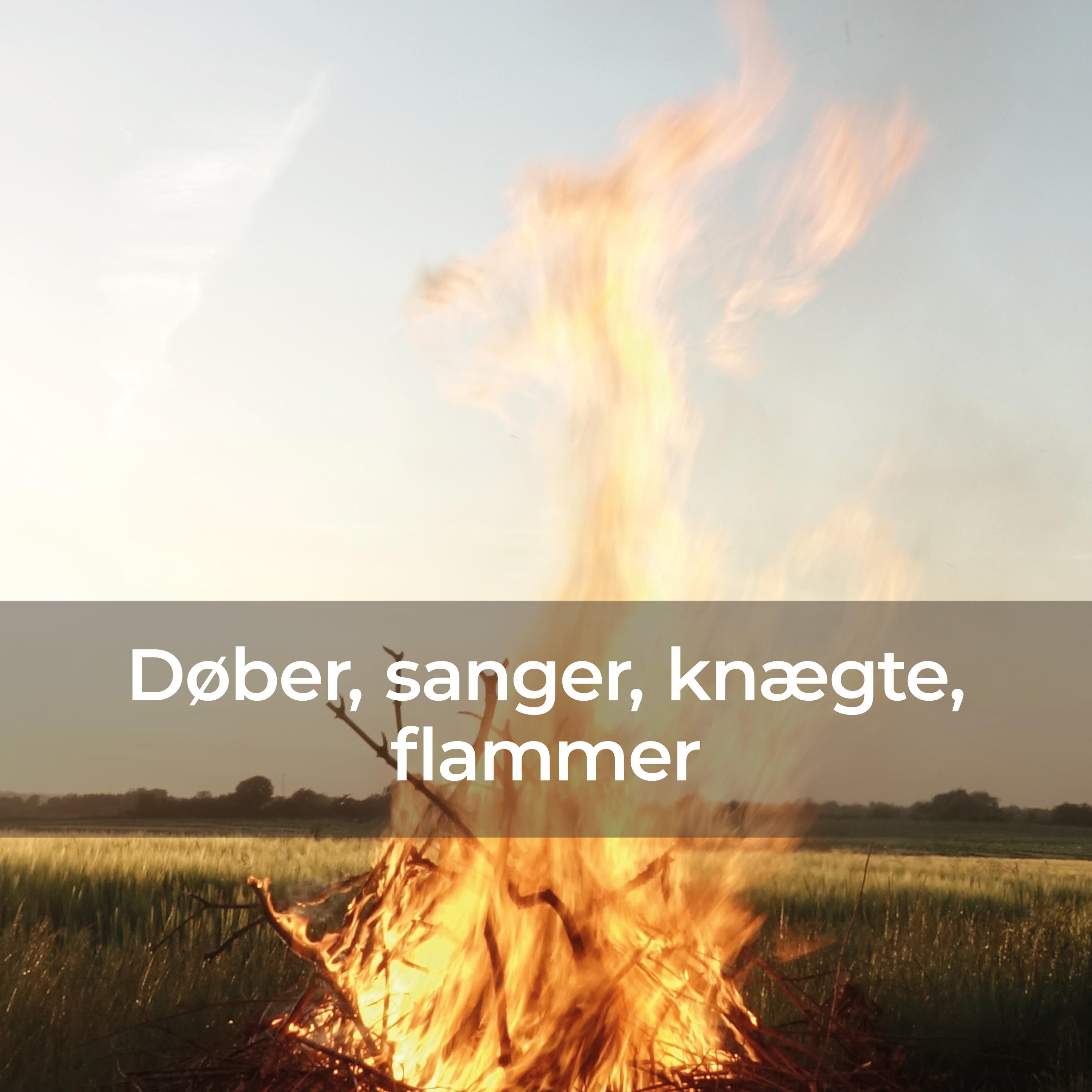 Постер альбома Døber, sanger, knægte, flammer