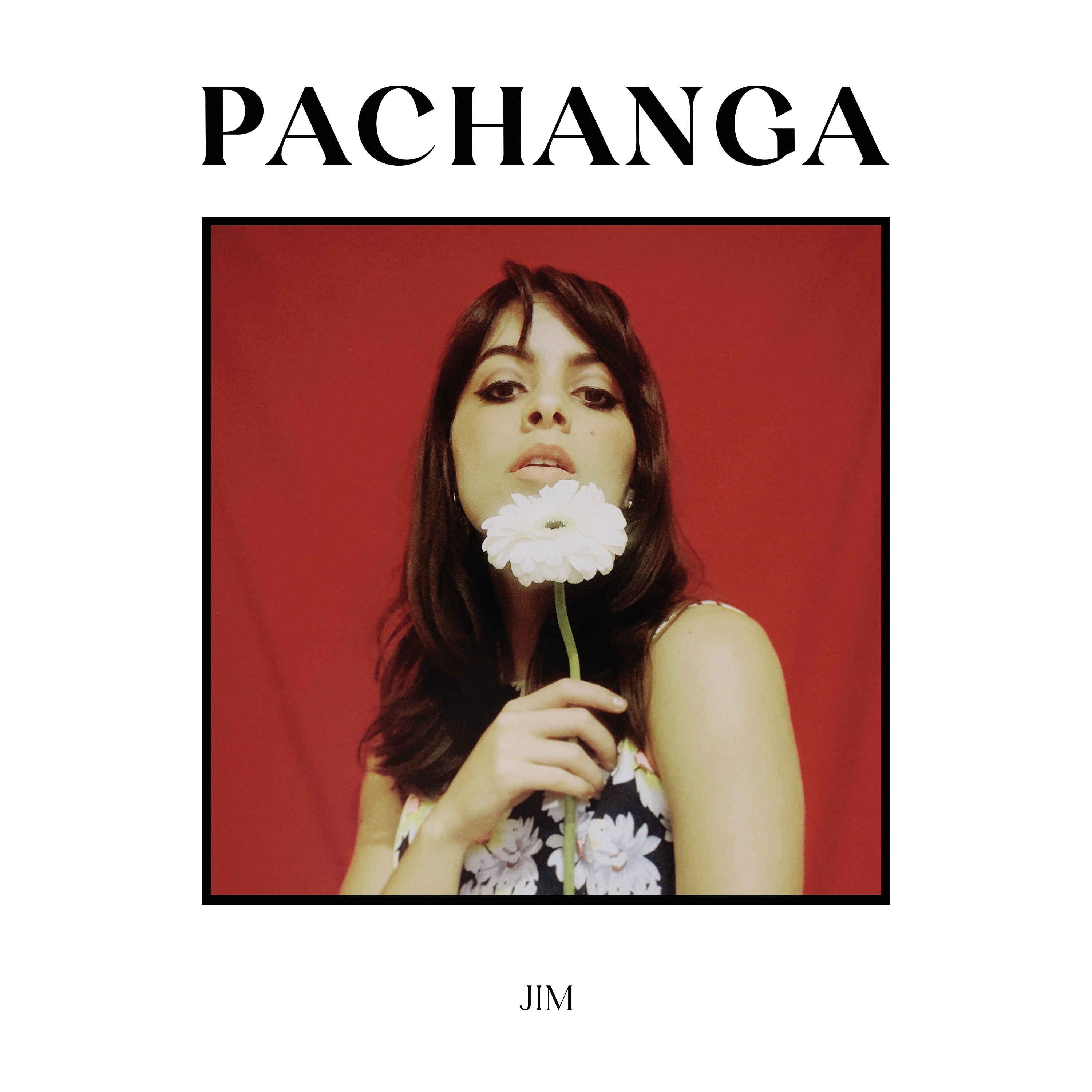 Постер альбома Pachanga
