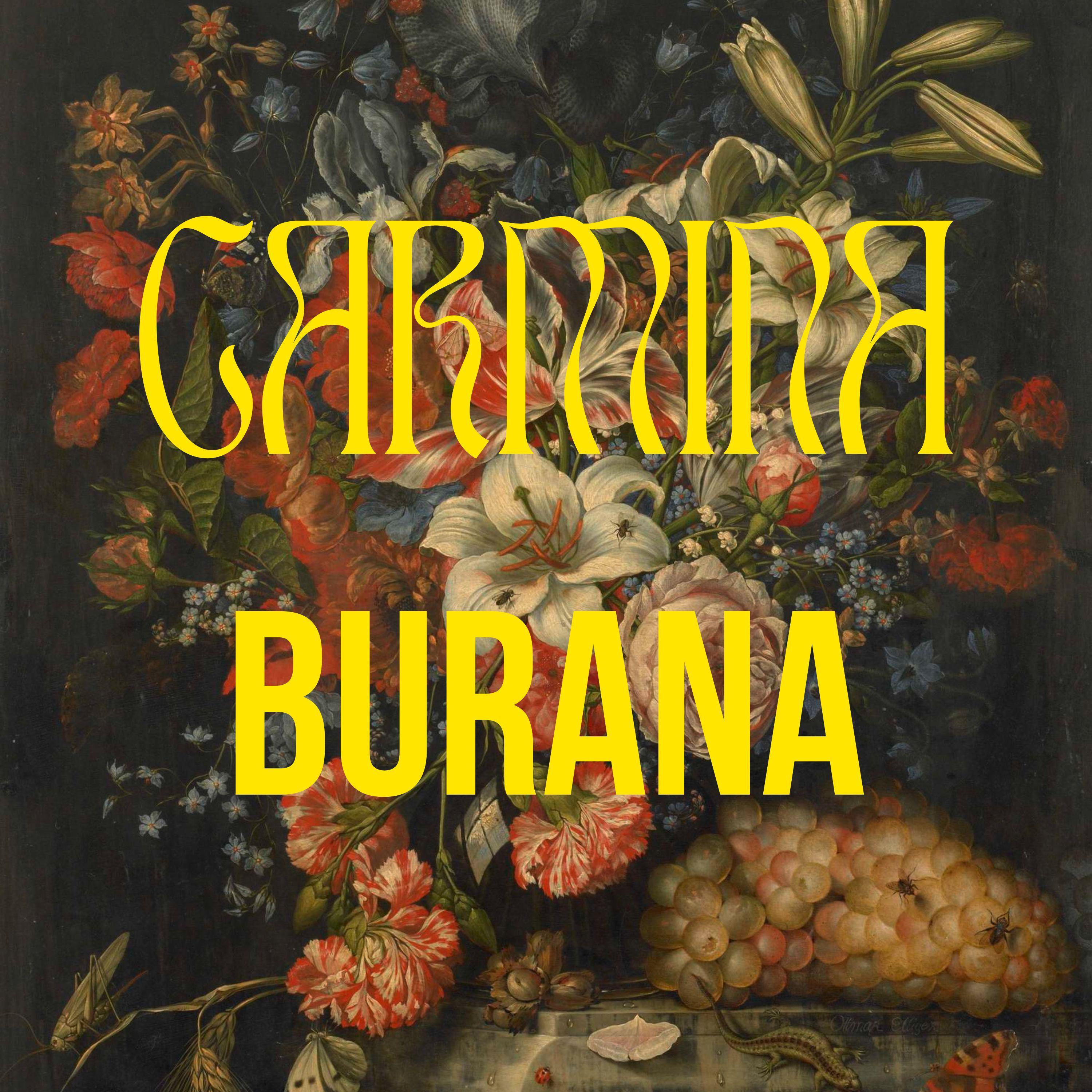 Постер альбома Carmina Burana, Vol. 4