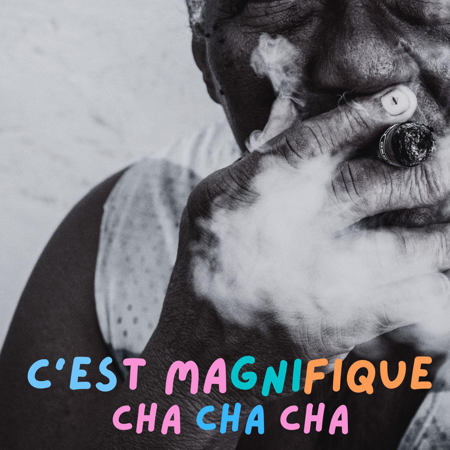 Постер альбома C'est Magnifique Cha Cha Cha