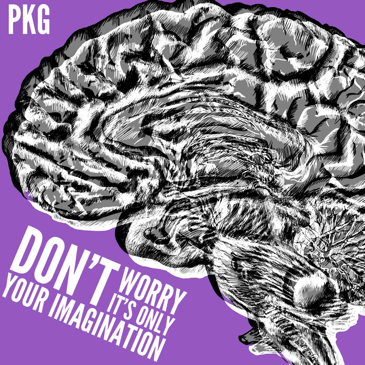 Постер альбома Don't Worry It's Only Your Imagination