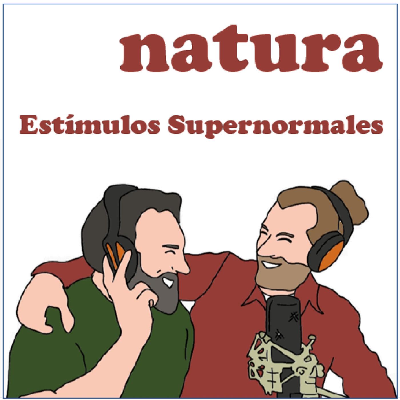 Постер альбома Estímulos Supernormales