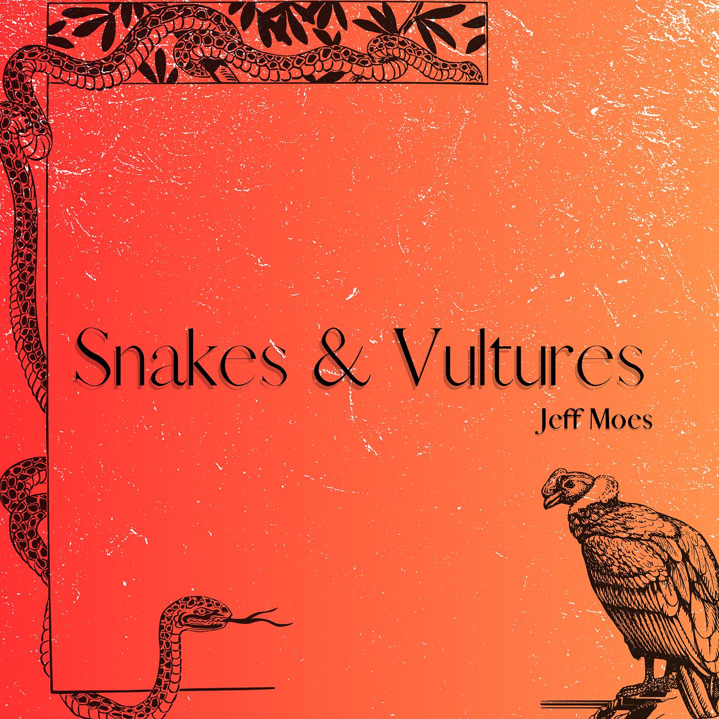 Постер альбома Snakes & Vultures
