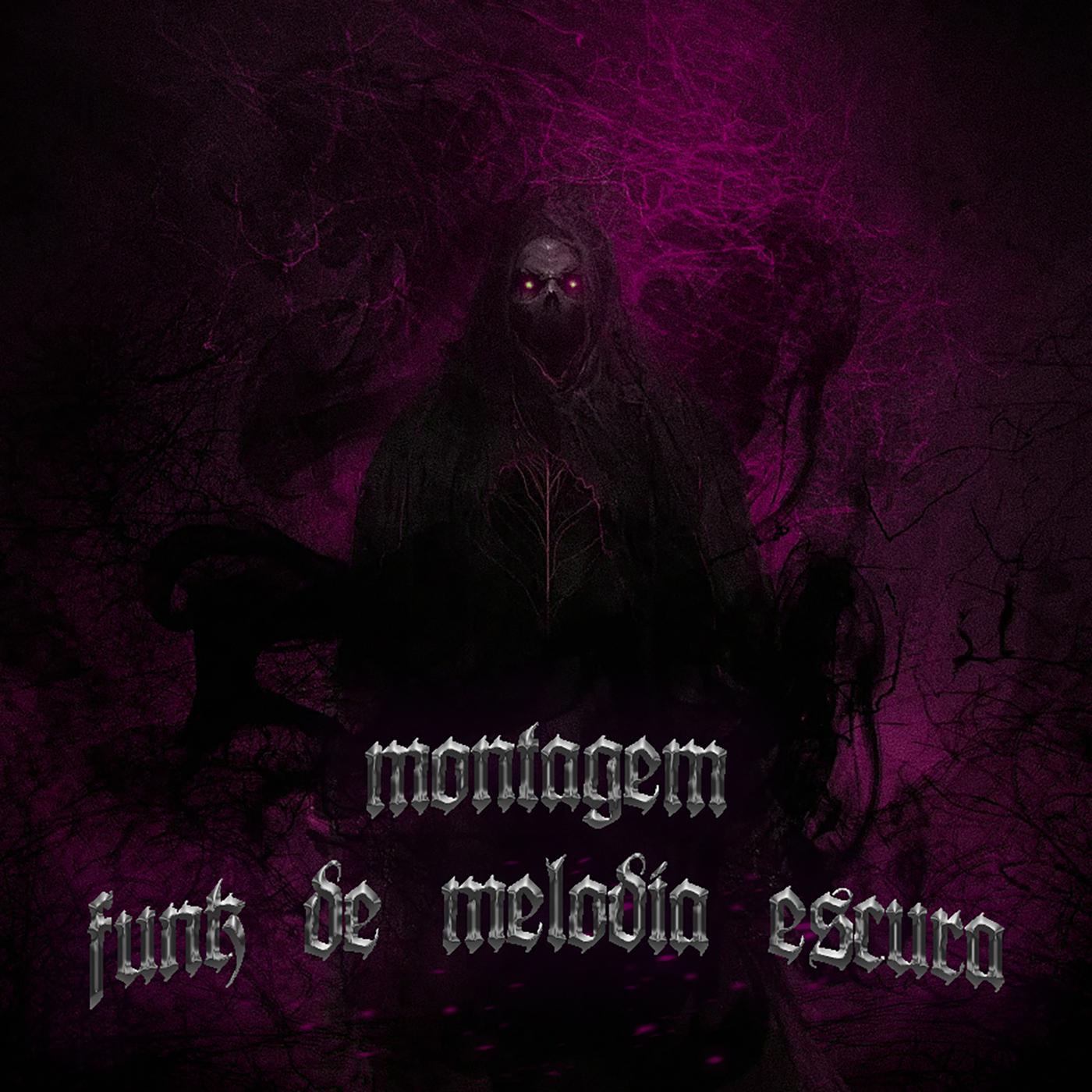 Постер альбома Montagem - Funk De Melodia Escura