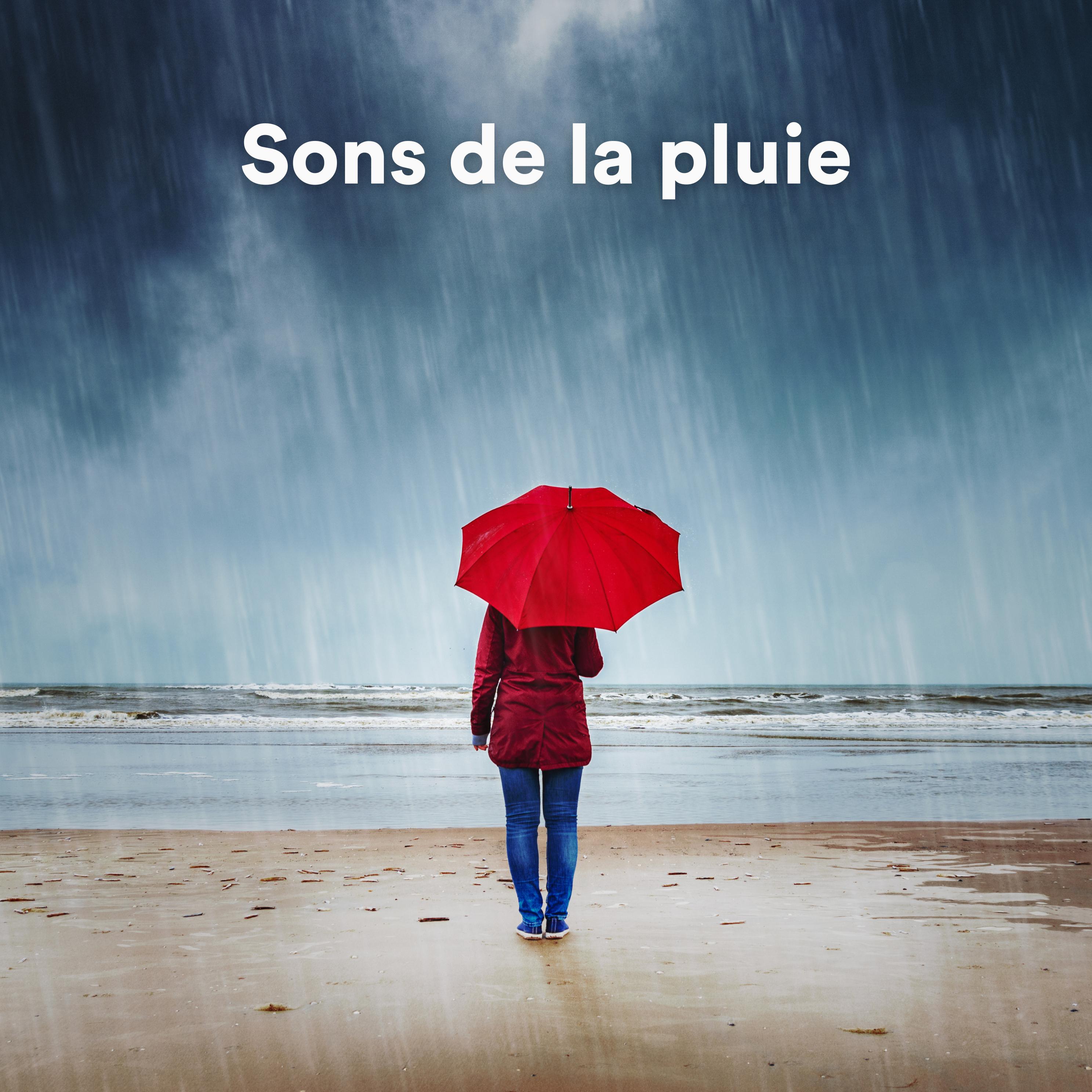 Постер альбома Sons de la pluie