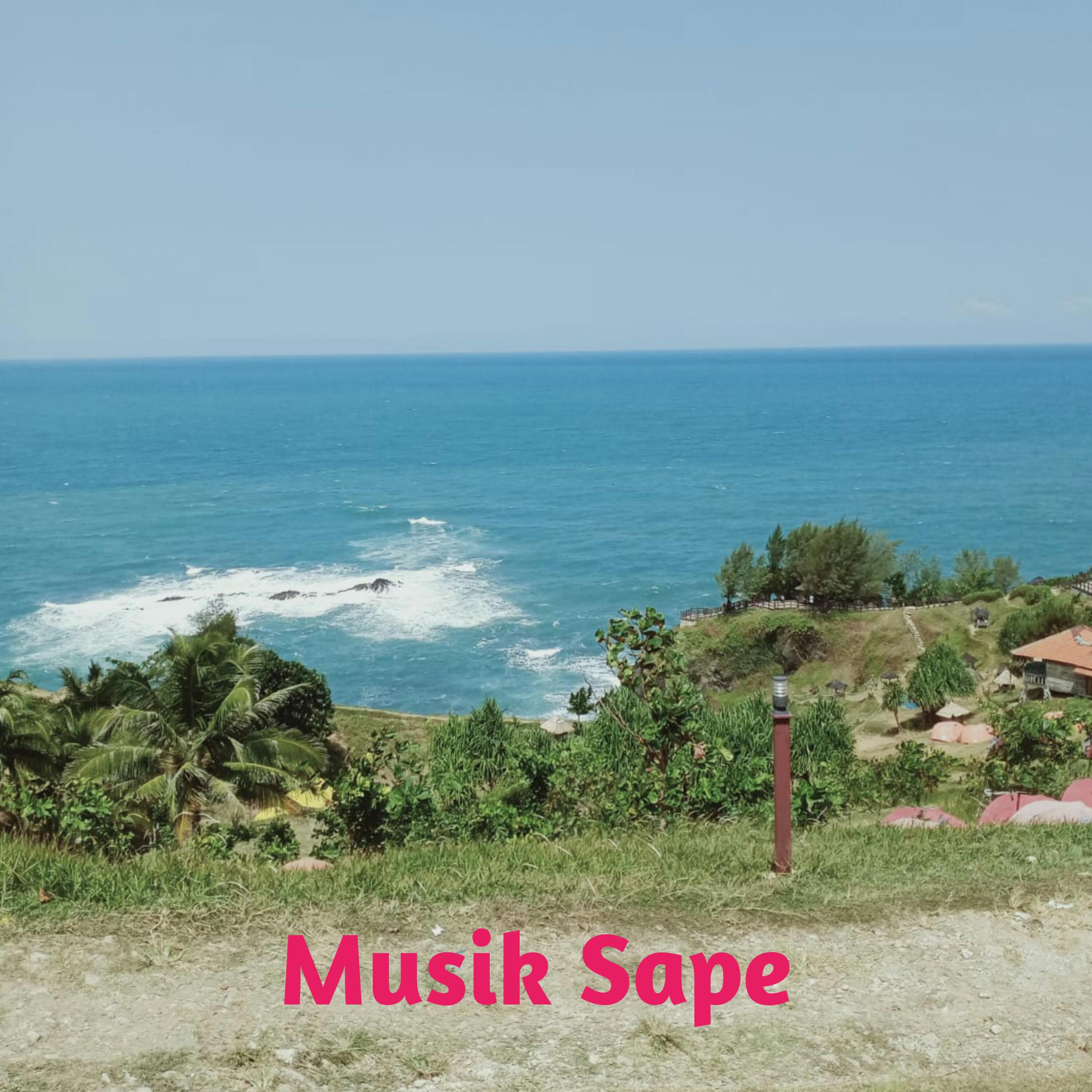 Постер альбома Musik Sape