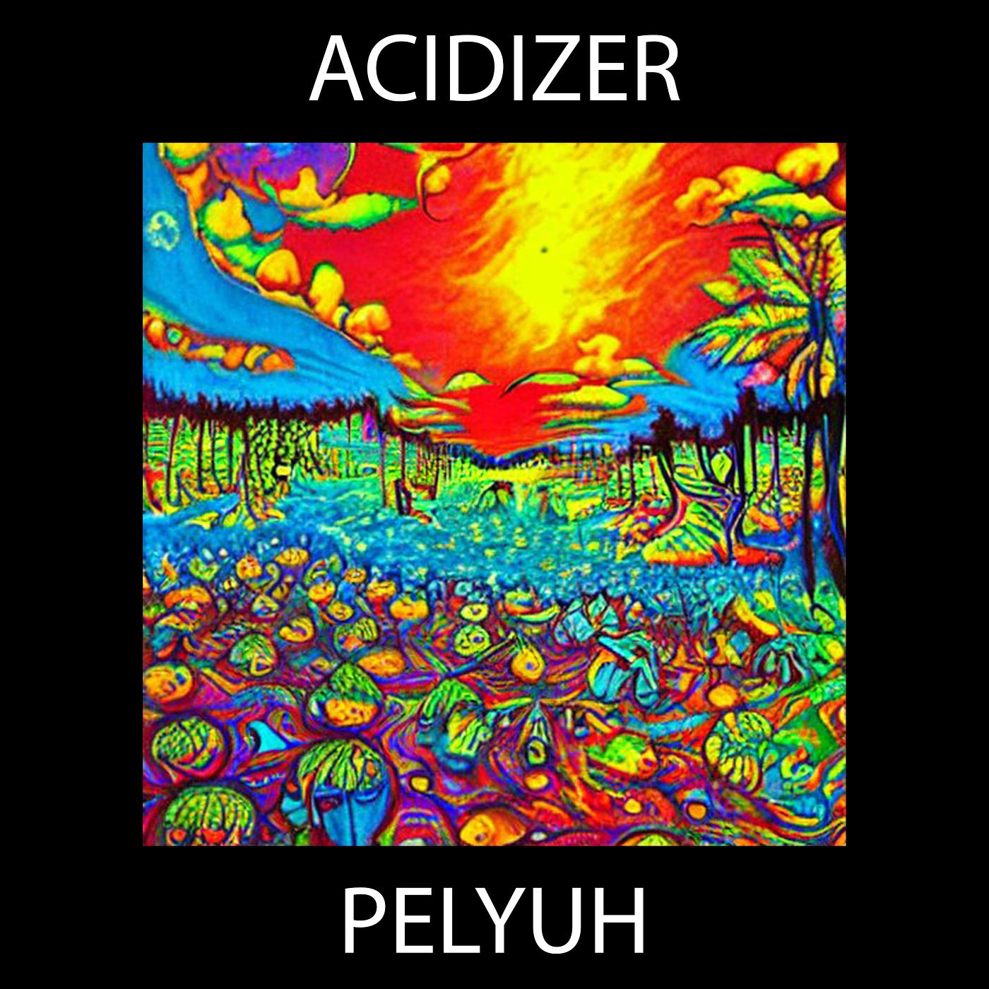 Постер альбома Acidizer