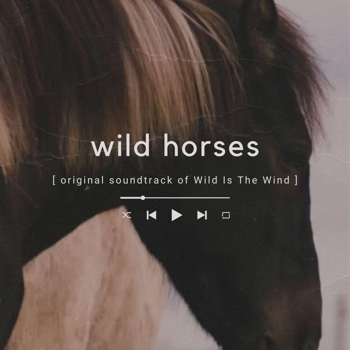 Постер альбома Wild Horses