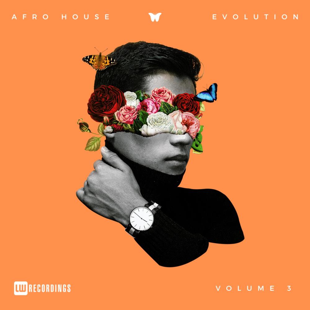 Постер альбома Afro House Evolution, Vol. 03