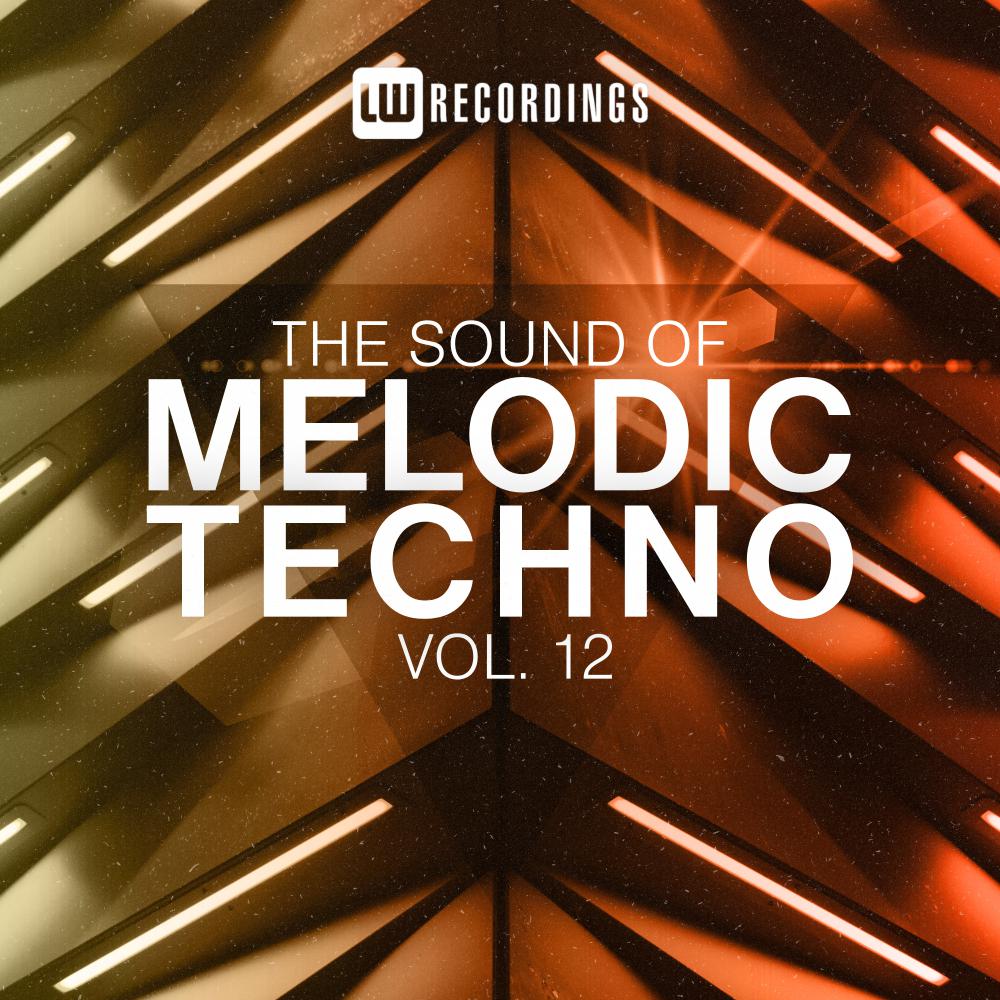 Постер альбома The Sound Of Melodic Techno, Vol. 12