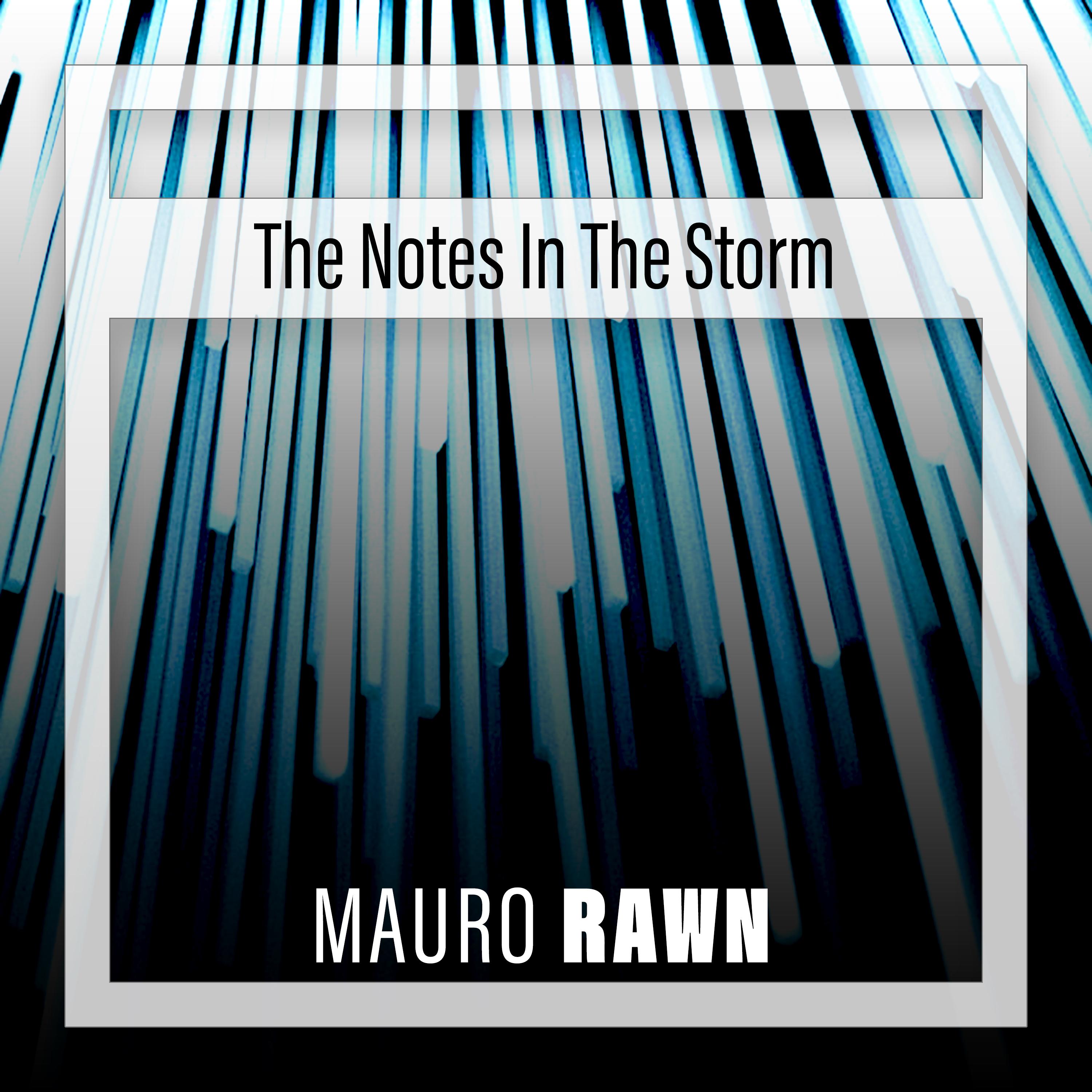 Постер альбома The Notes In The Storm