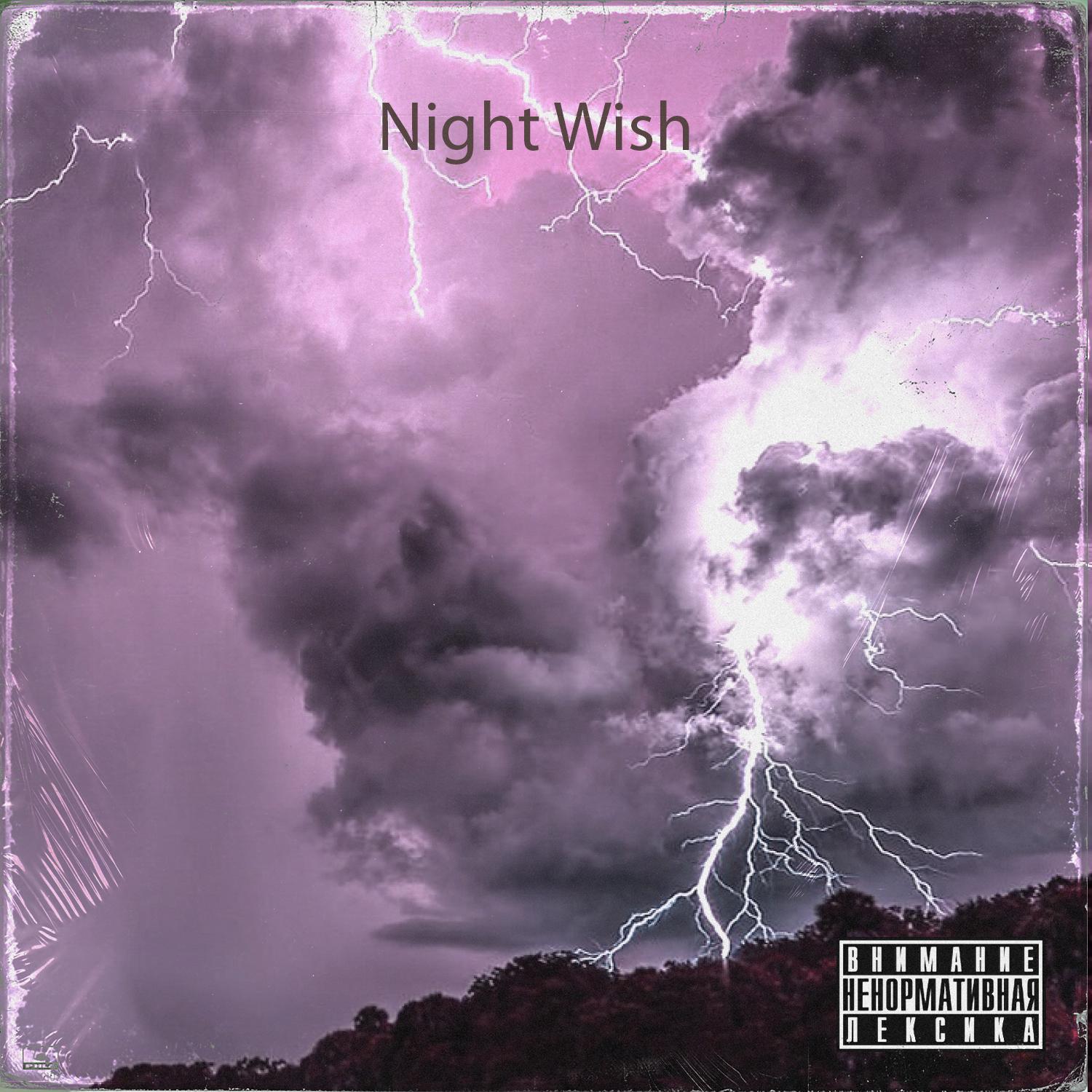 Постер альбома Night Wish