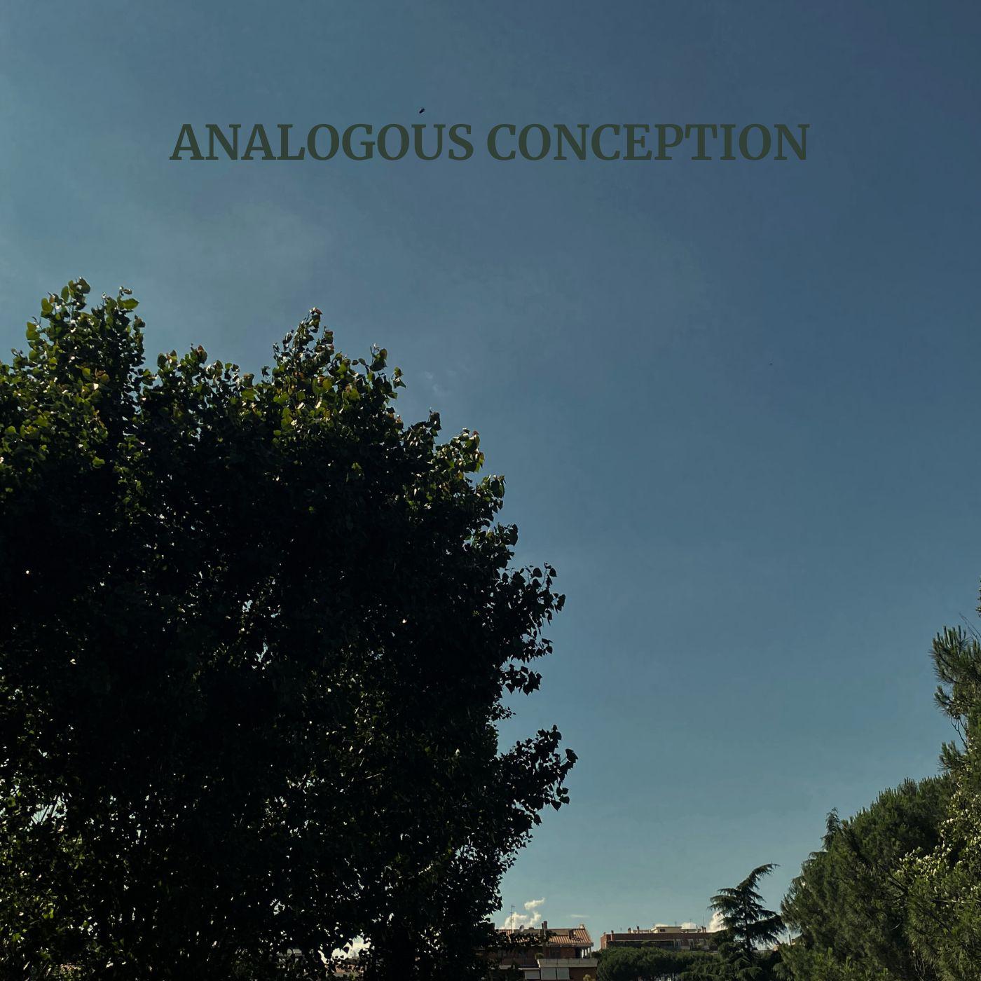 Постер альбома Analogous Conception