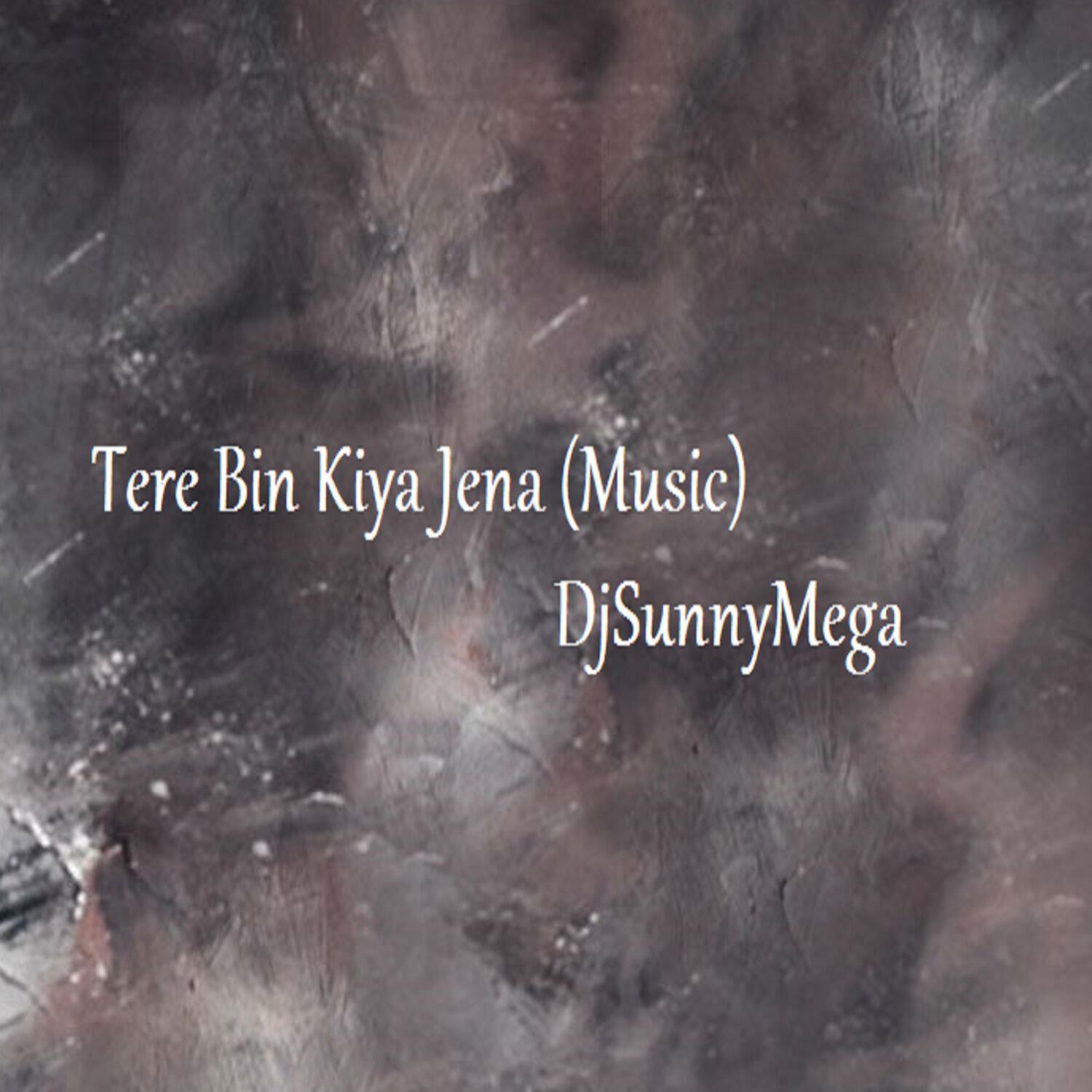 DJSunnyMega - Tere Bin Kiya Jena (Music)