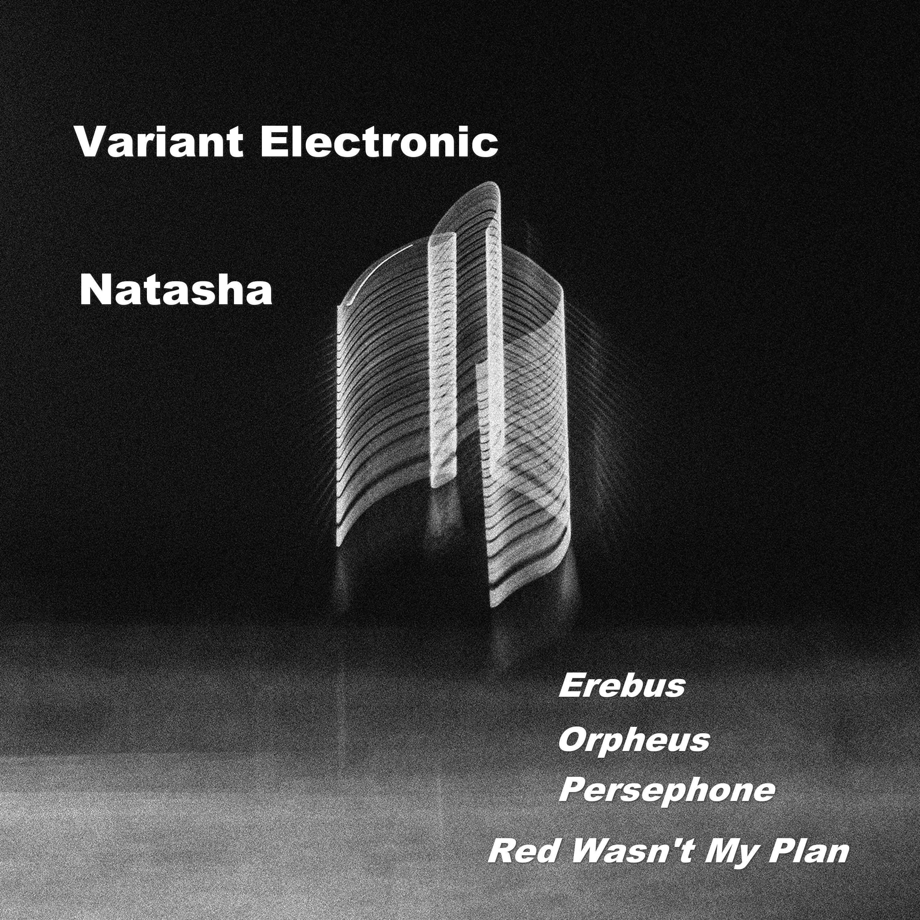 Постер альбома Variant Electronic VE006