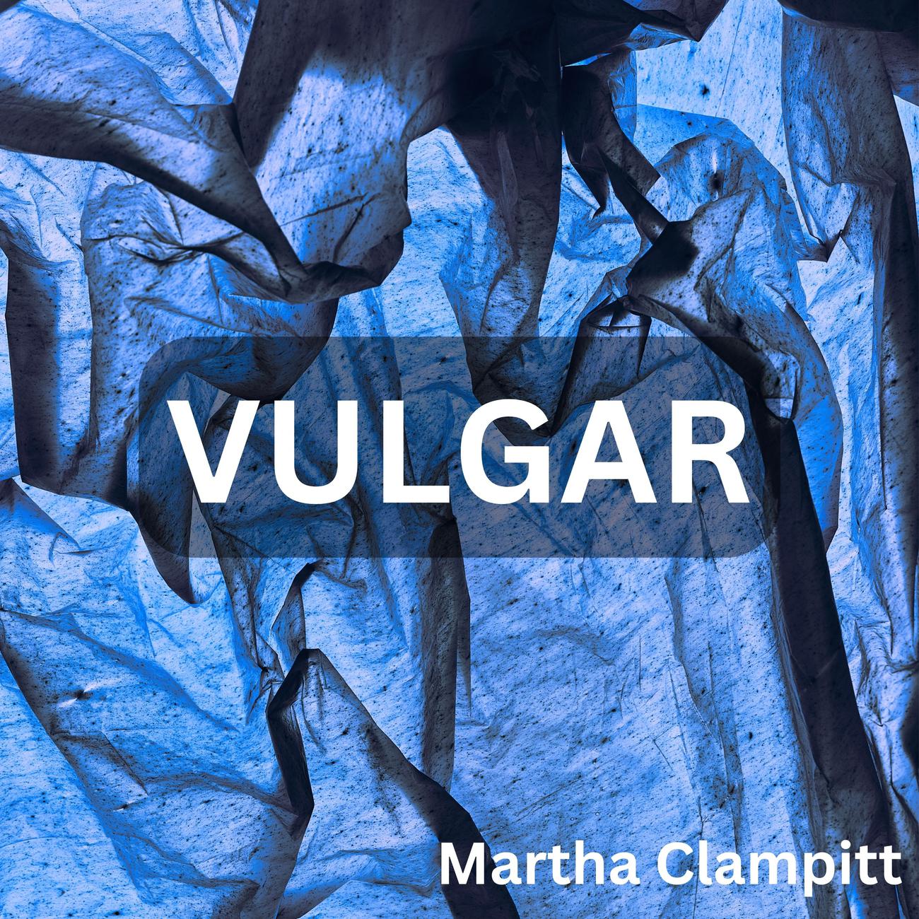 Постер альбома VULGAR