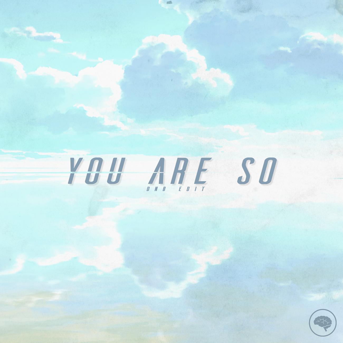 Постер альбома You Are So (DnB Edit)