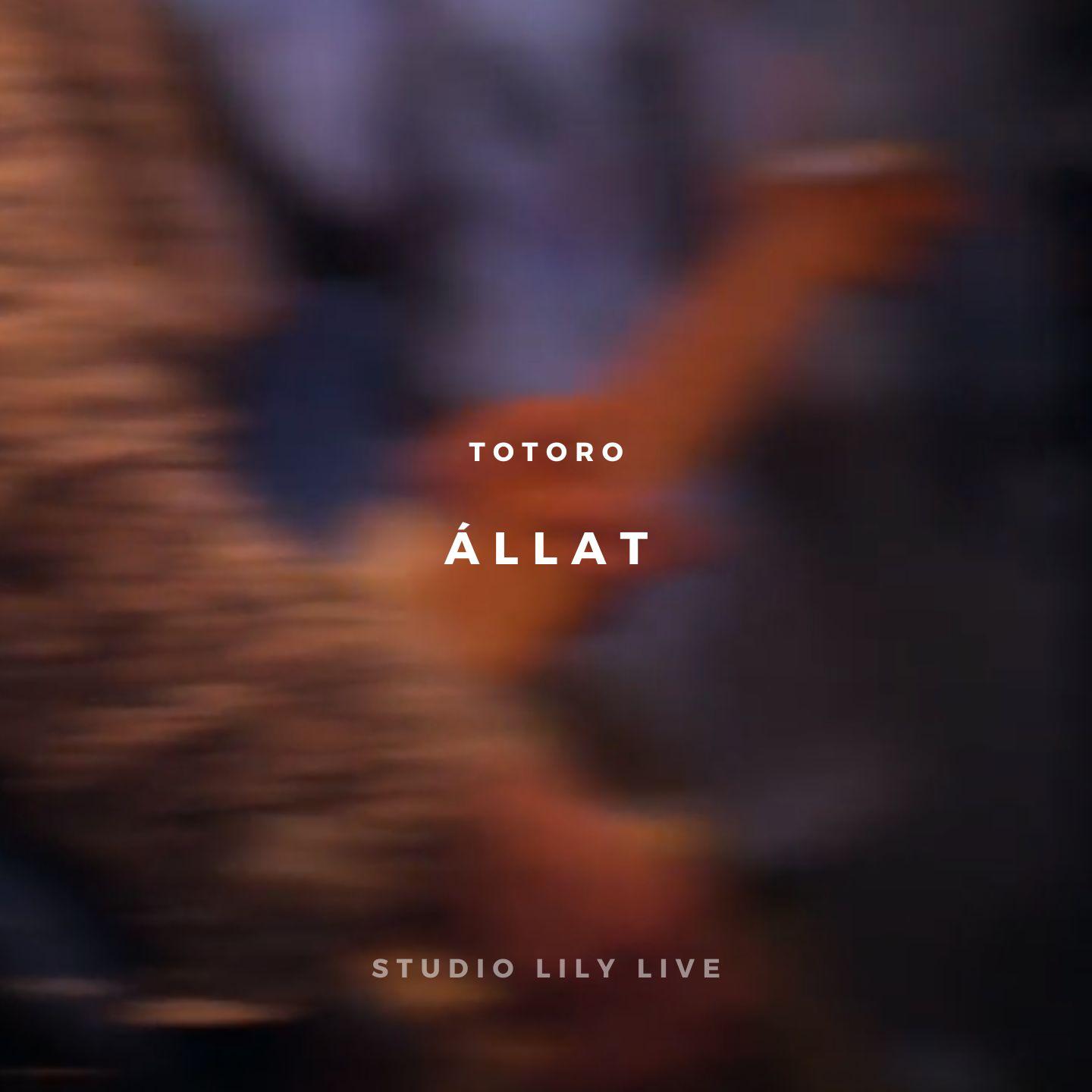 Постер альбома Állat