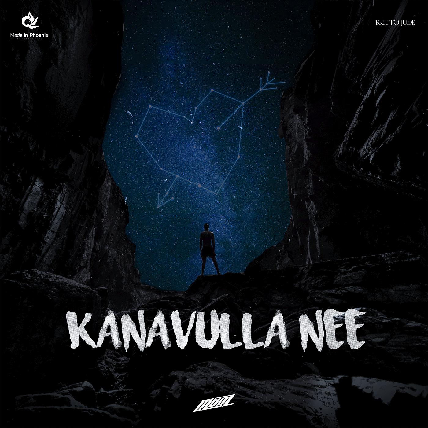 Постер альбома Kanavulla Nee