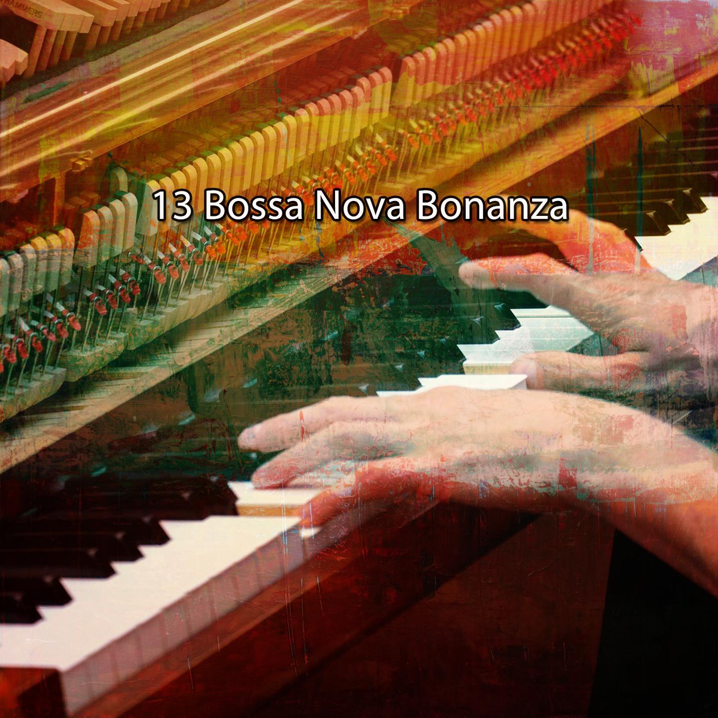 Постер альбома 13 Bossa Nova Bonanza