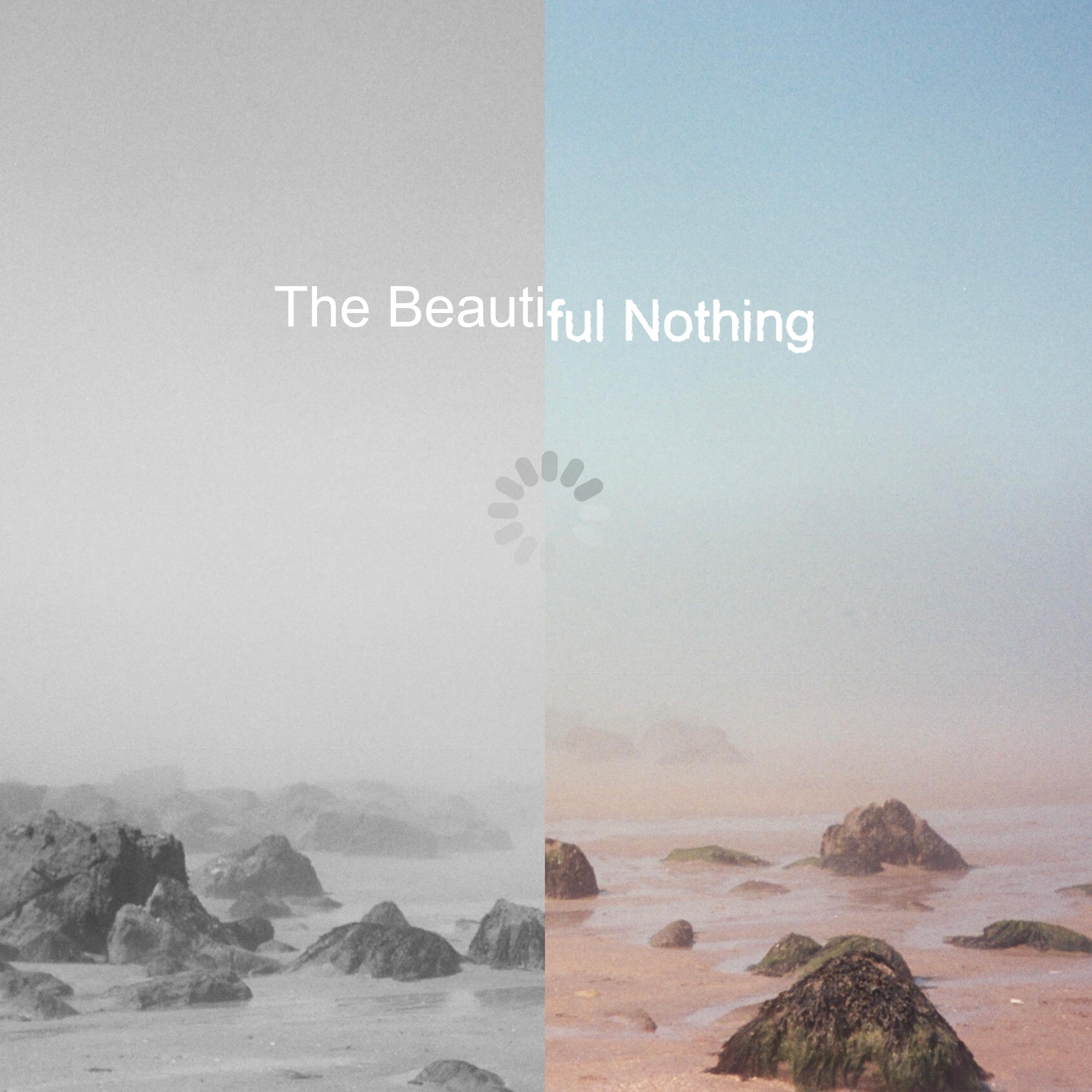Постер альбома The Beautiful Nothing