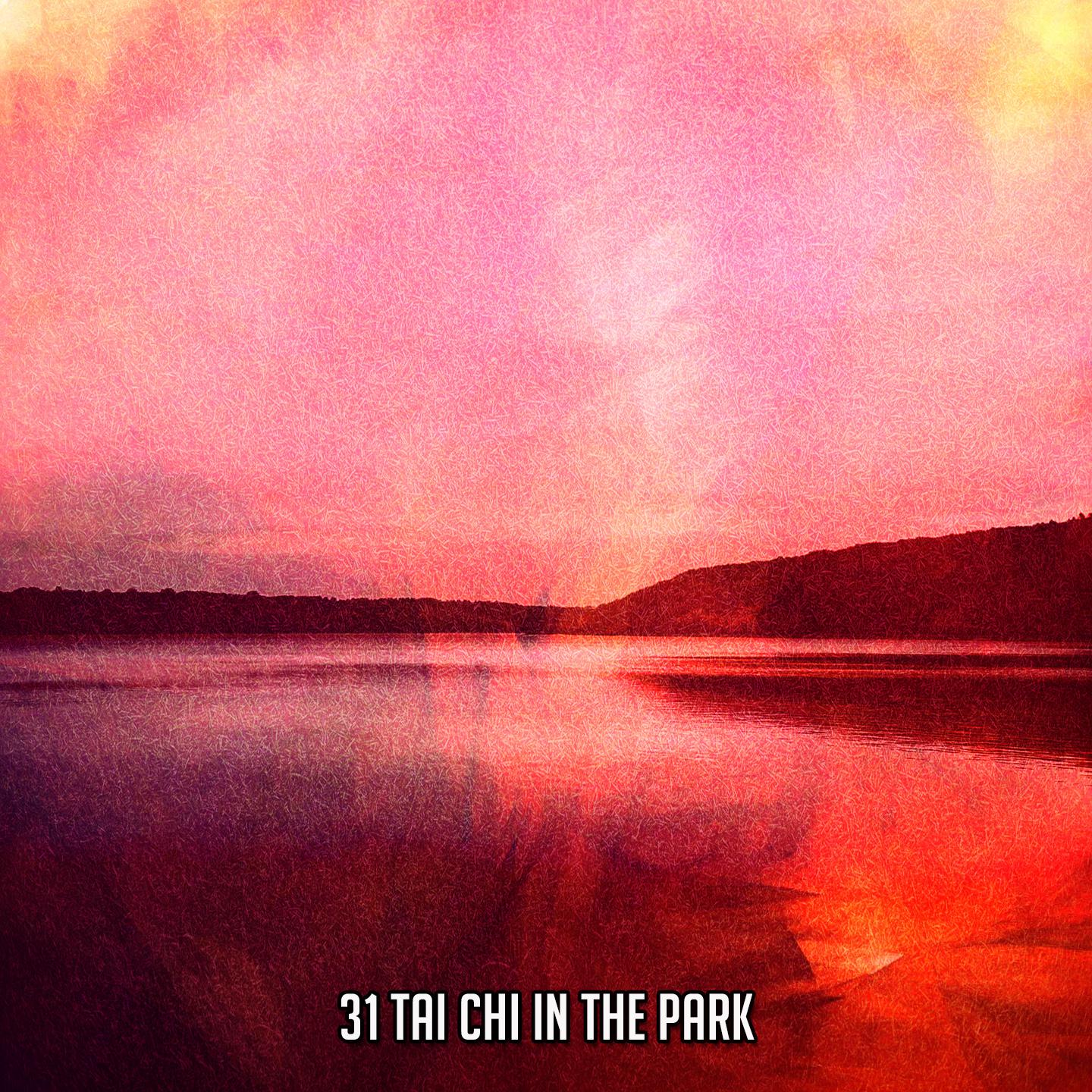 Постер альбома 31 Tai Chi In The Park