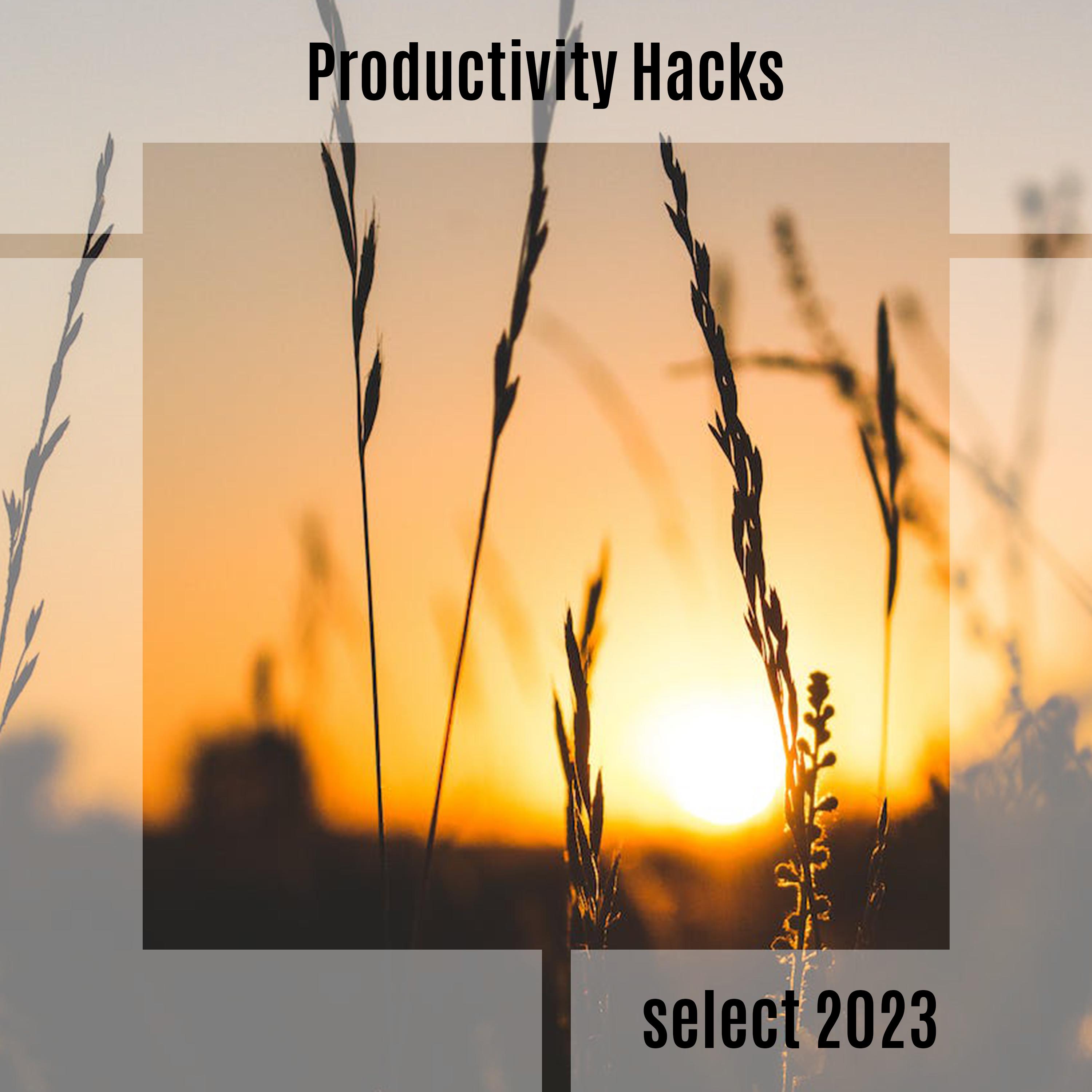 Постер альбома Productivity Hacks Select 2023