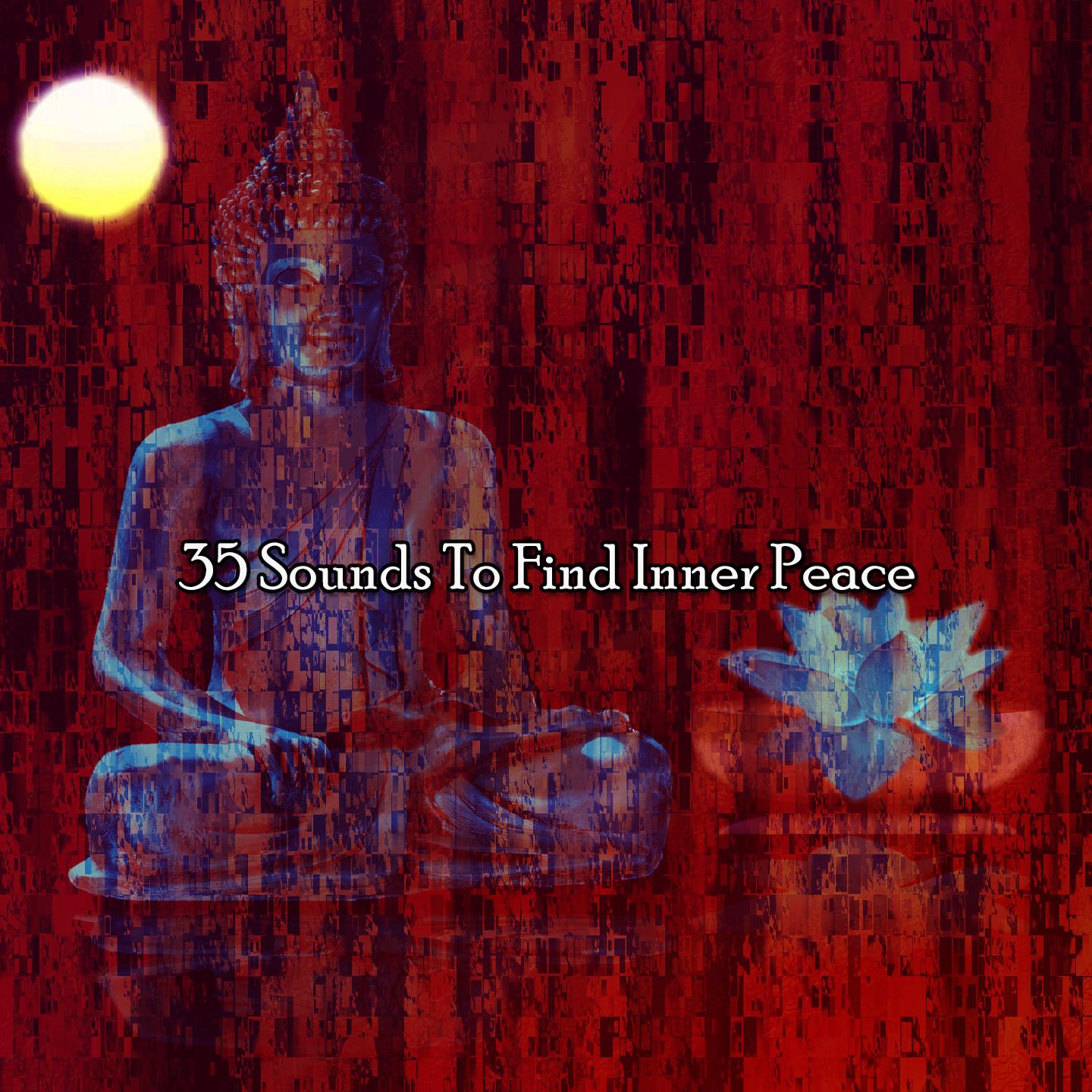 Постер альбома 35 Sounds To Find Inner Peace