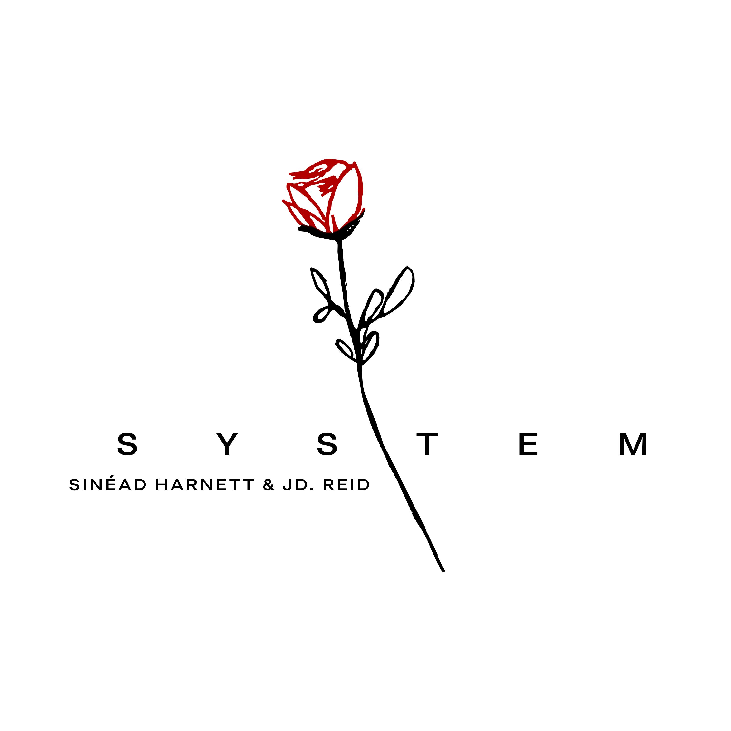 Постер альбома System