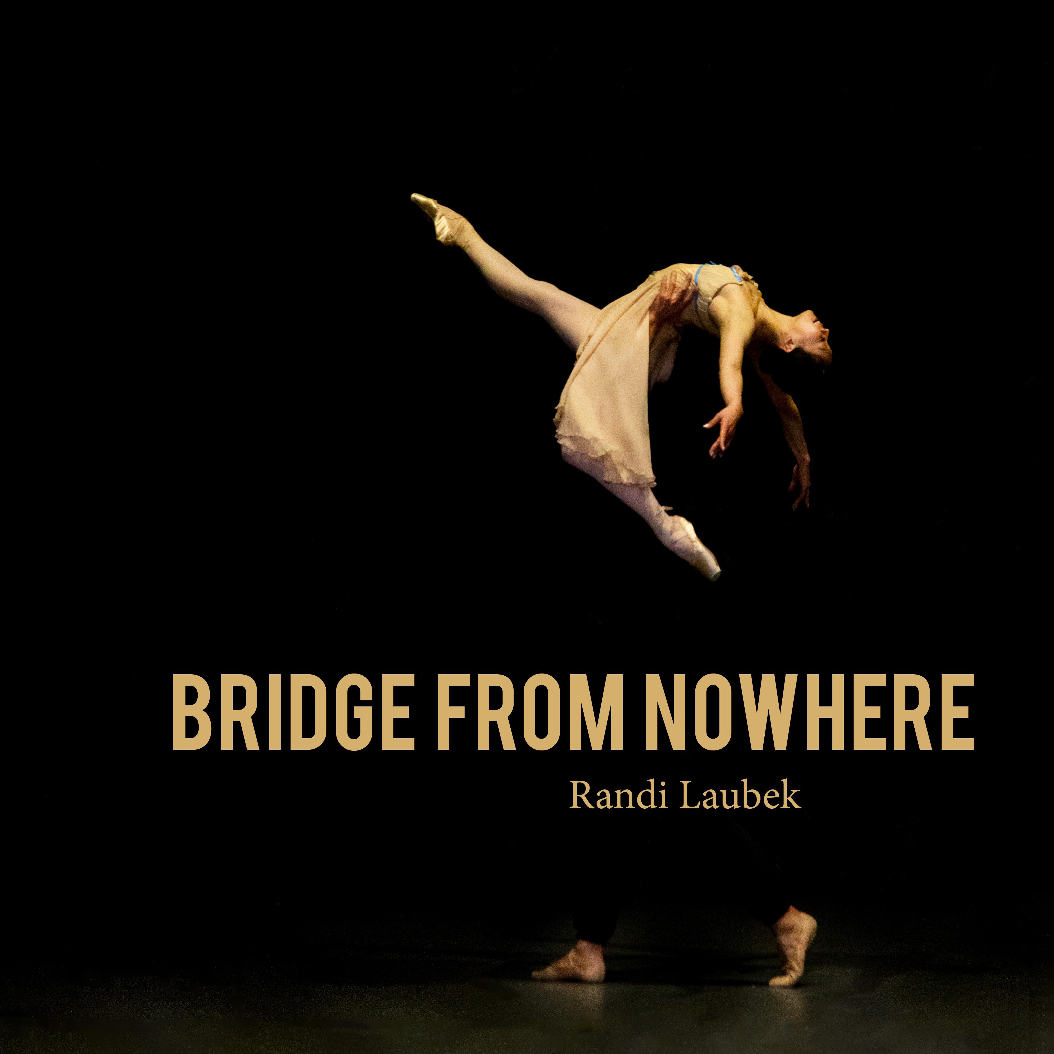 Постер альбома Bridge From Nowhere