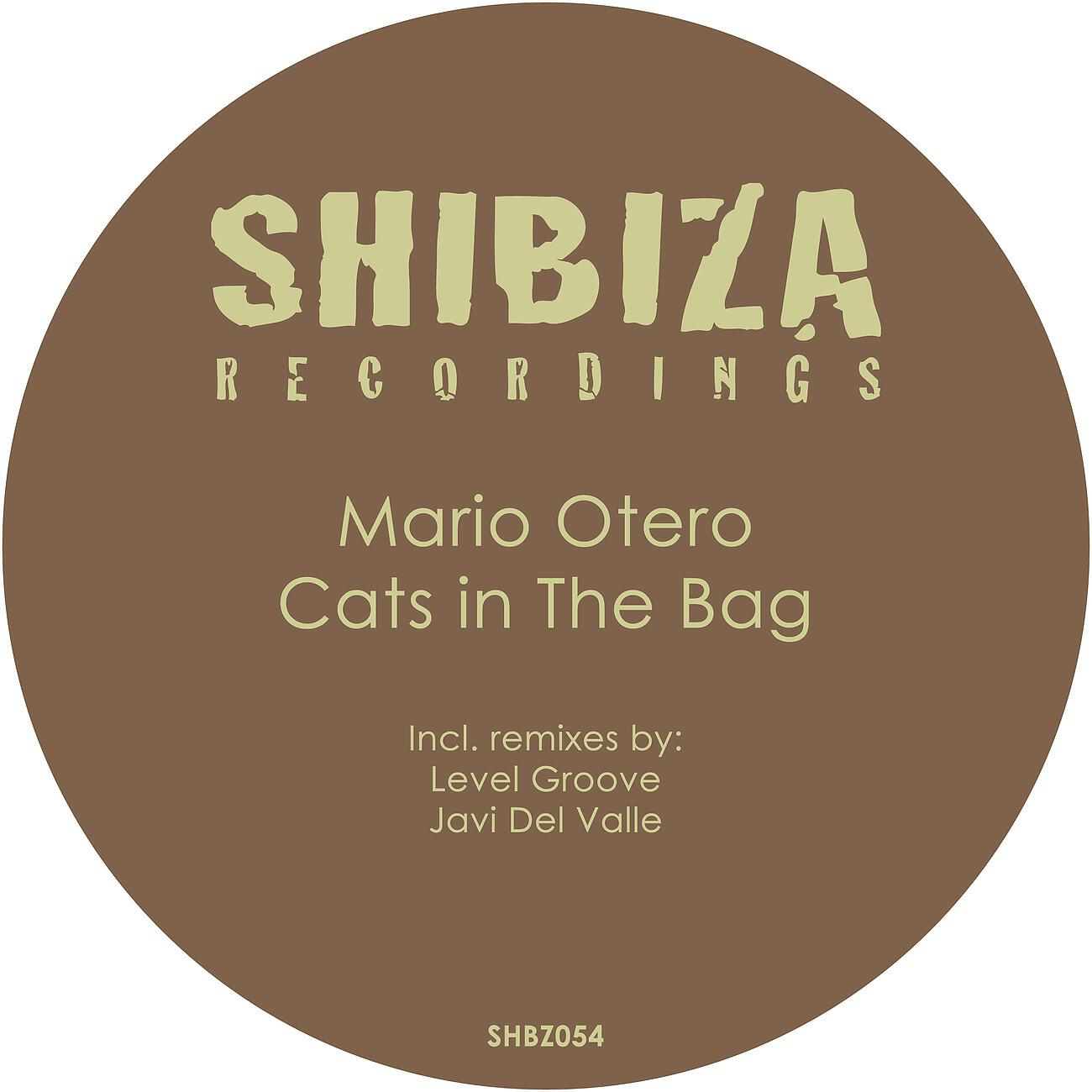 Mario Otero - Cats in the Bag (Javi Del Valle Remix)