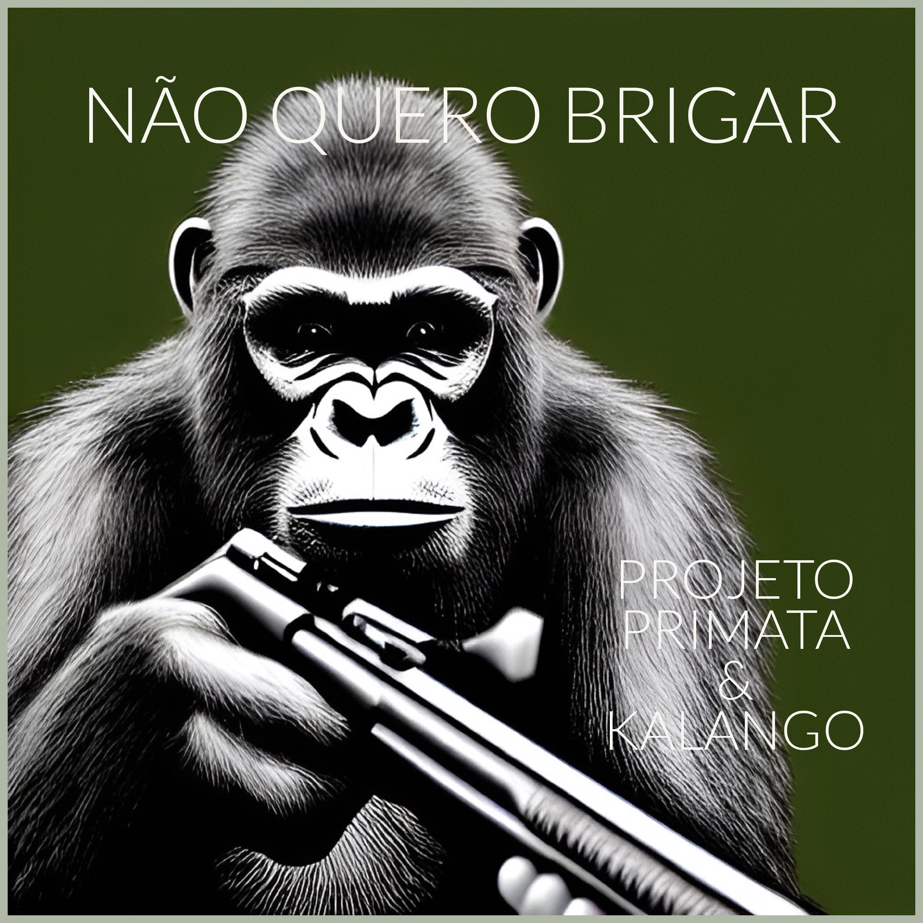 Постер альбома Não Quero Brigar