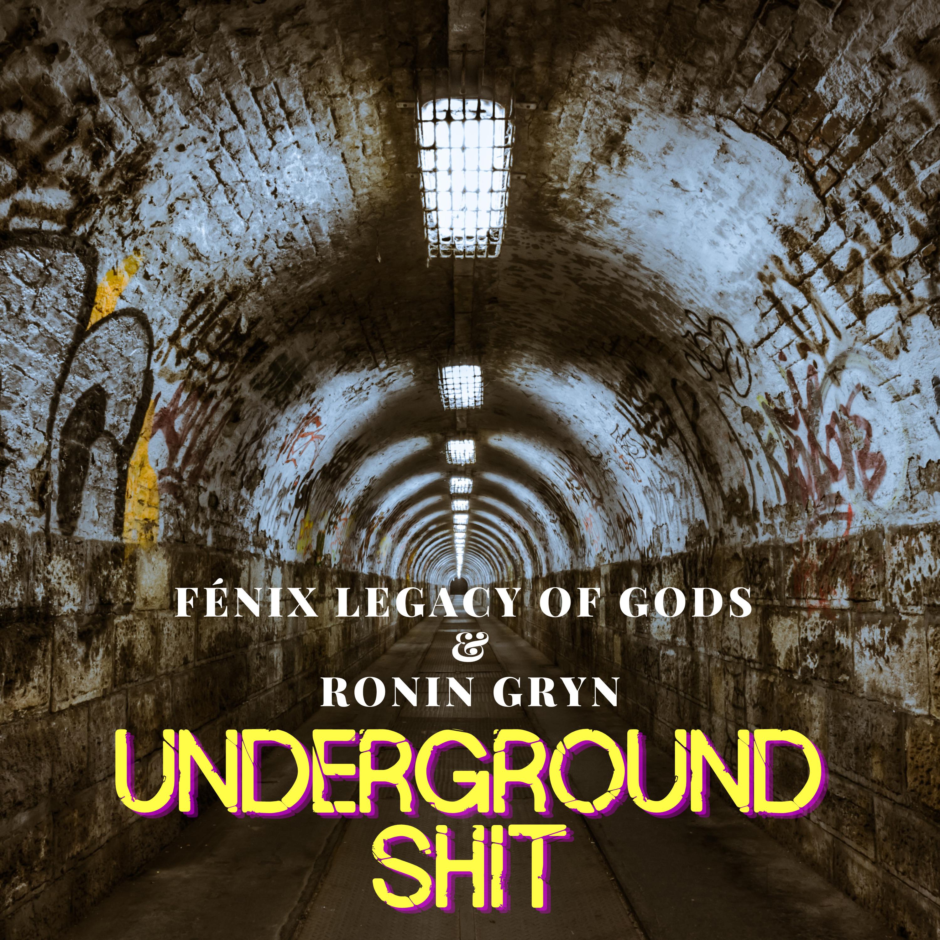 Постер альбома Underground Shit