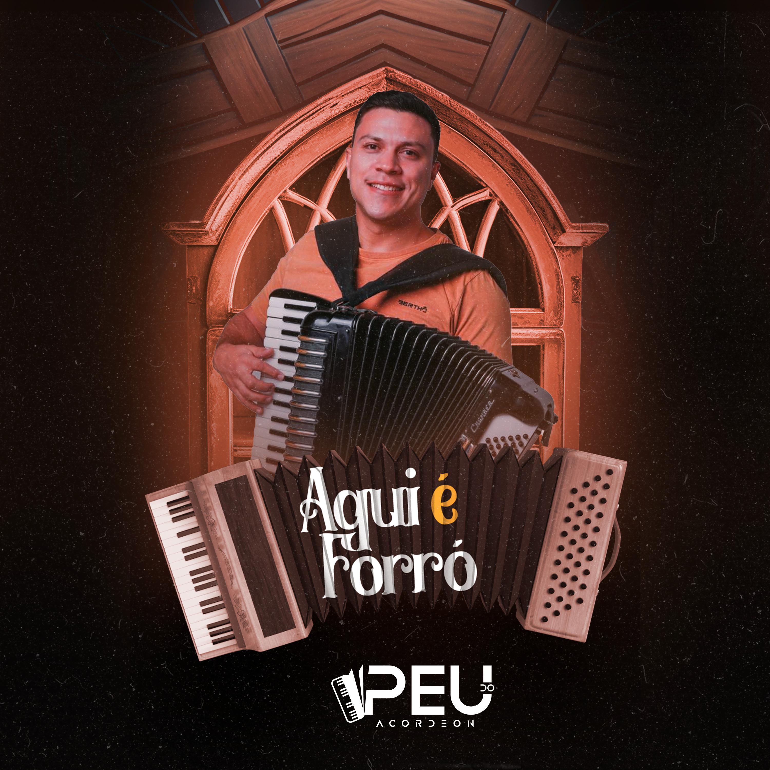 Постер альбома Aqui É Forró