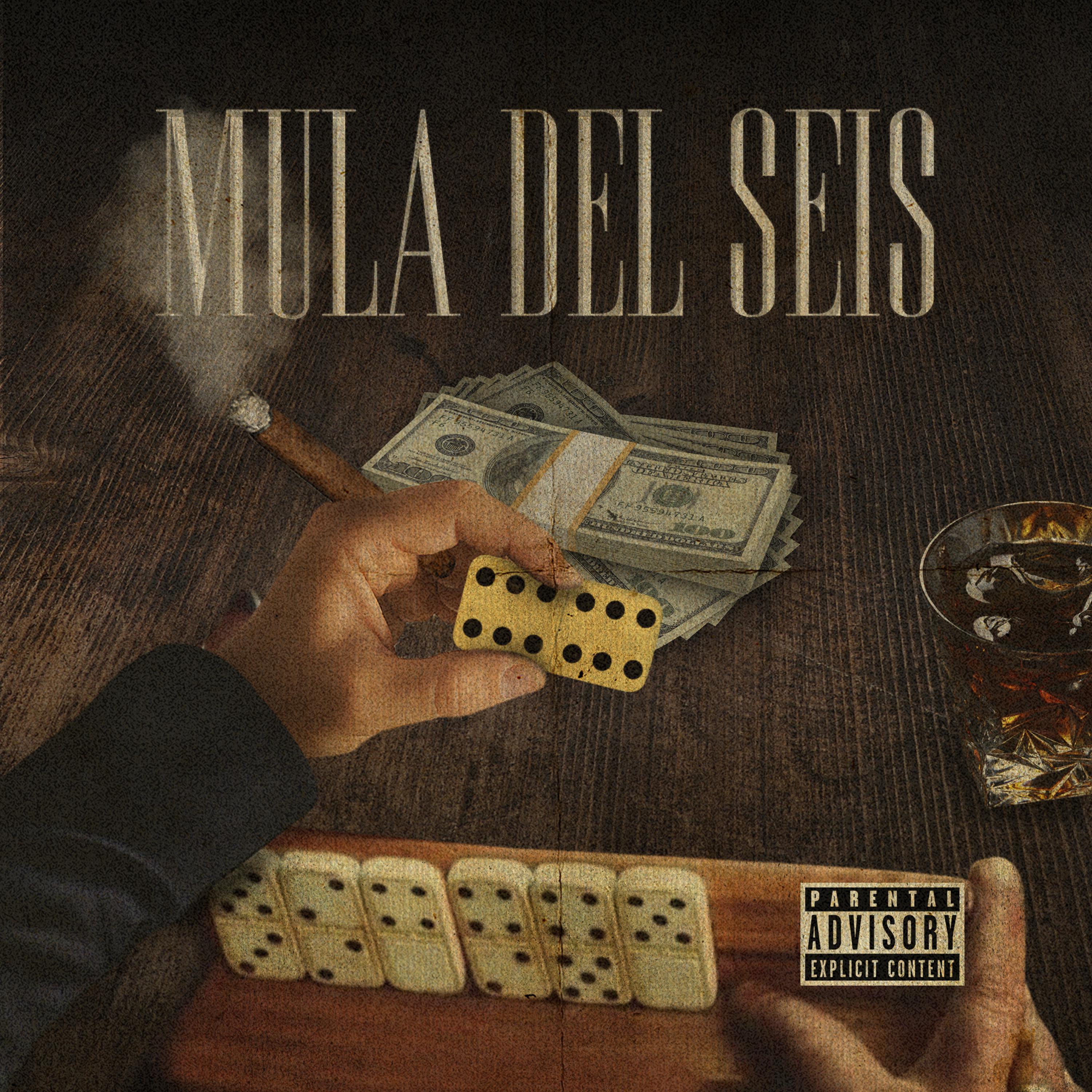 Постер альбома Mula del Seis