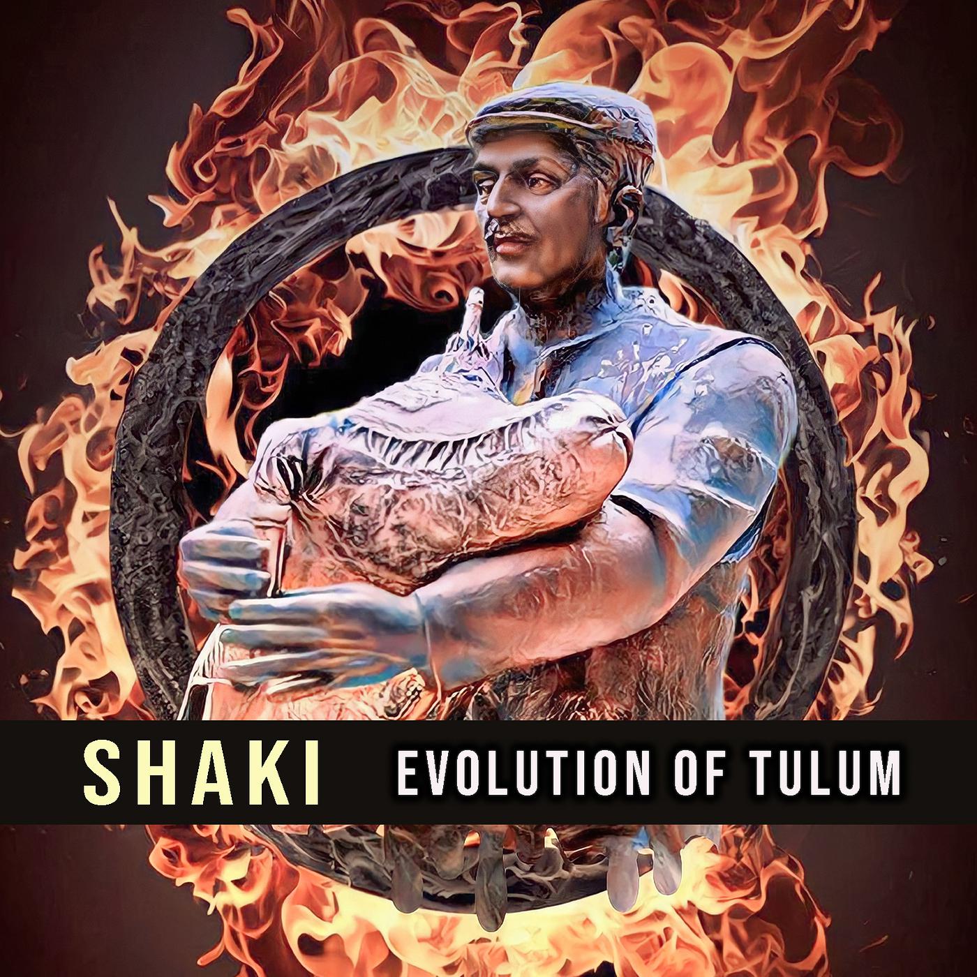 Постер альбома Evolution of Tulum
